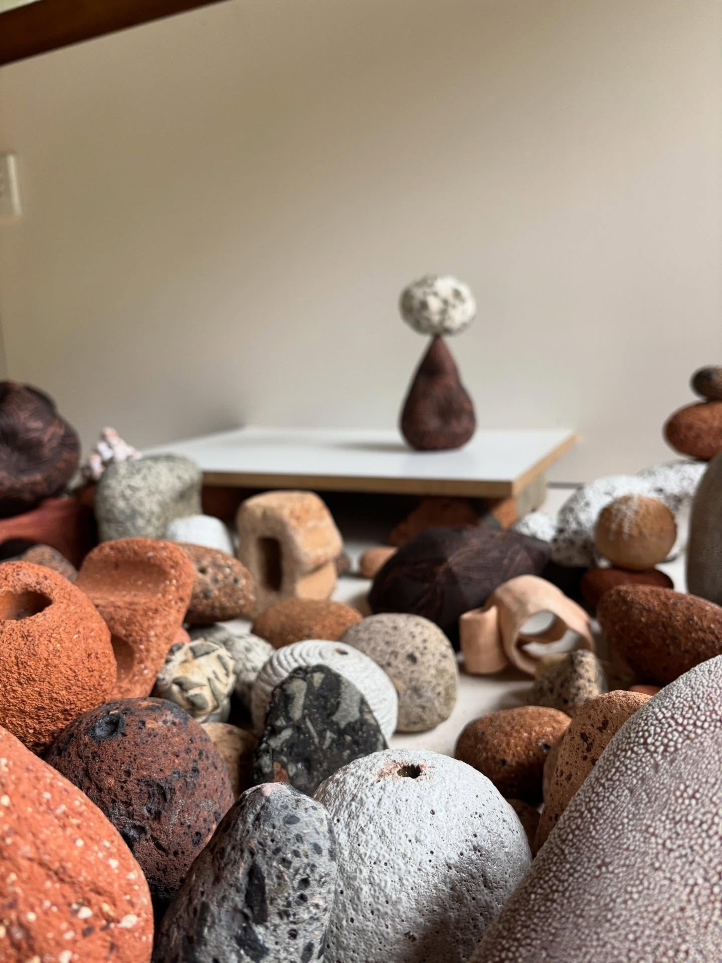 My studio is all chaos atm as I prepare for my upcoming solo this April at @sabbiagallery - but as long as I leave a space to see a work clearly and then photograph I&rsquo;m ok!

#australianceramics #ceramicsaustralia #contemporaryceramics #australi