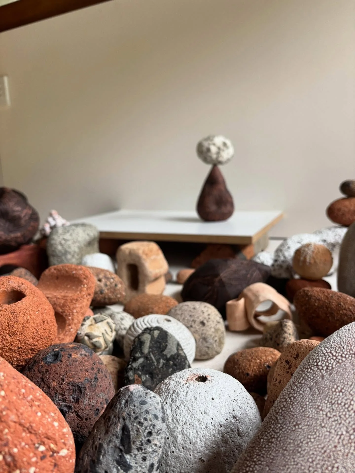 My studio is all chaos atm as I prepare for my upcoming solo this April at @sabbiagallery - but as long as I leave a space to see a work clearly and then photograph I&rsquo;m ok!

#australianceramics #ceramicsaustralia #contemporaryceramics #australi