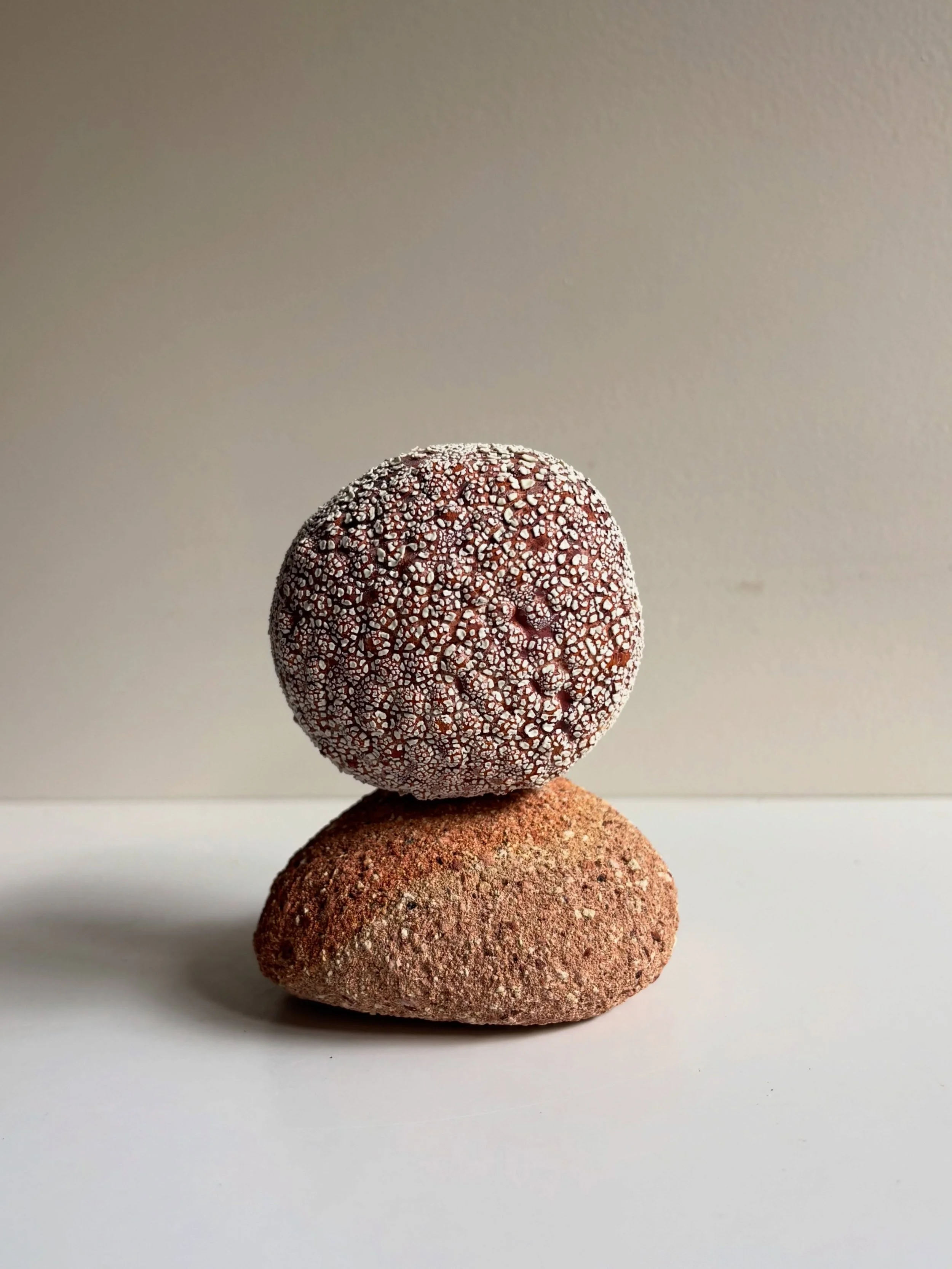 I love when the brick fragments show traces of different clay like in this piece called Spume Beacon in my current exhibition Sediment Stories 

#australianceramics #ceramicsaustralia #ceramicsculpture #chrystielongworth