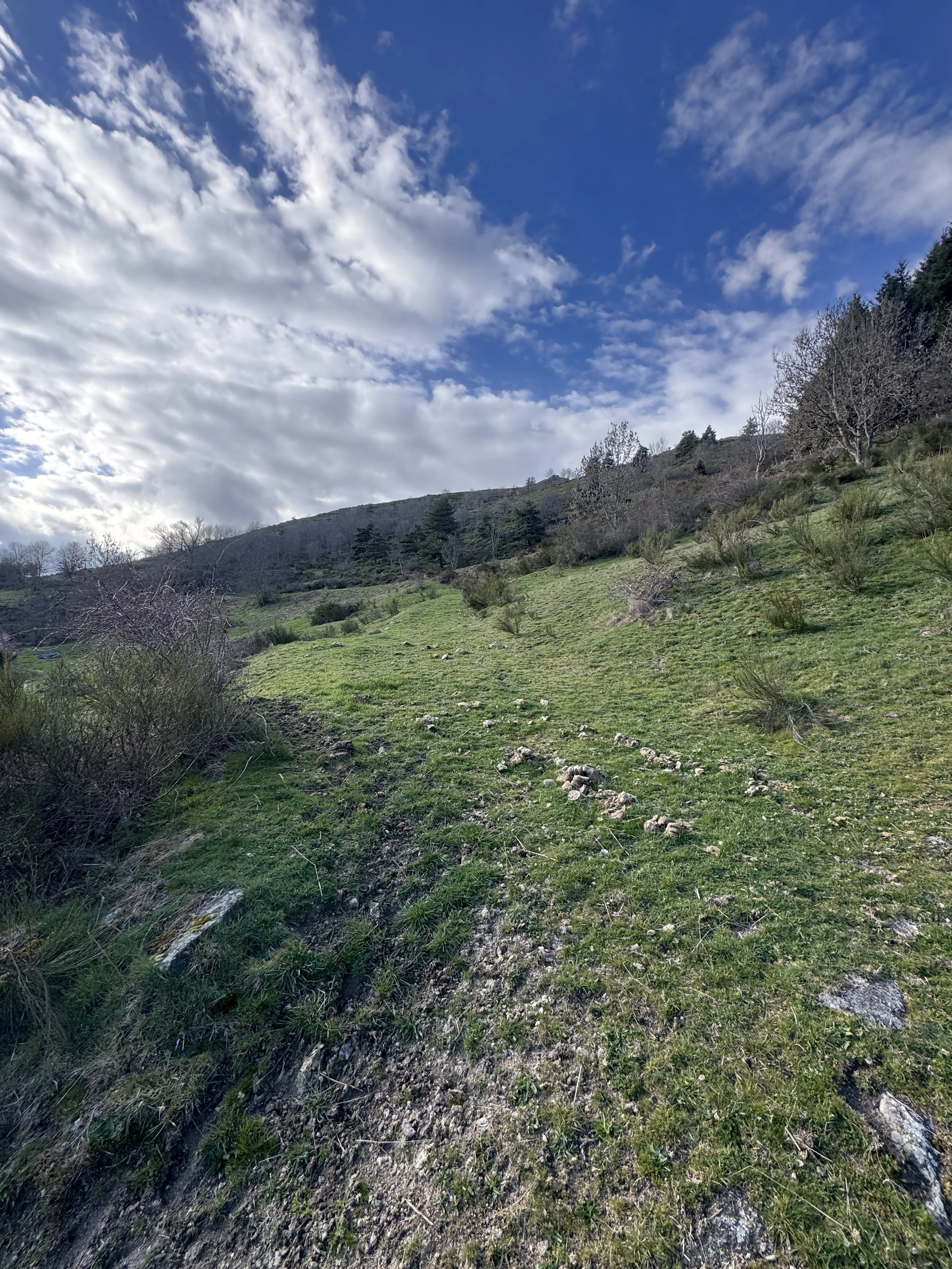 IMG_6642.jpeg