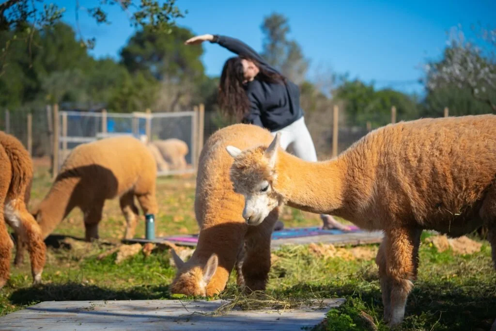 HighResolution-46-kopie-min-1024x683 (1).jpeg