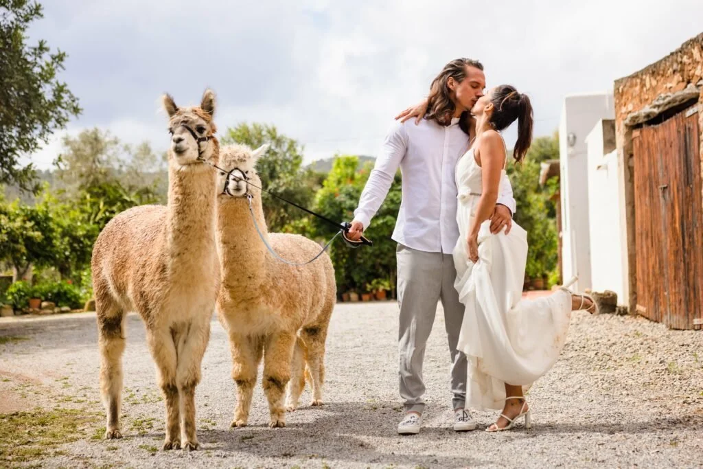 wedding2-min-1024x683 (1).jpeg