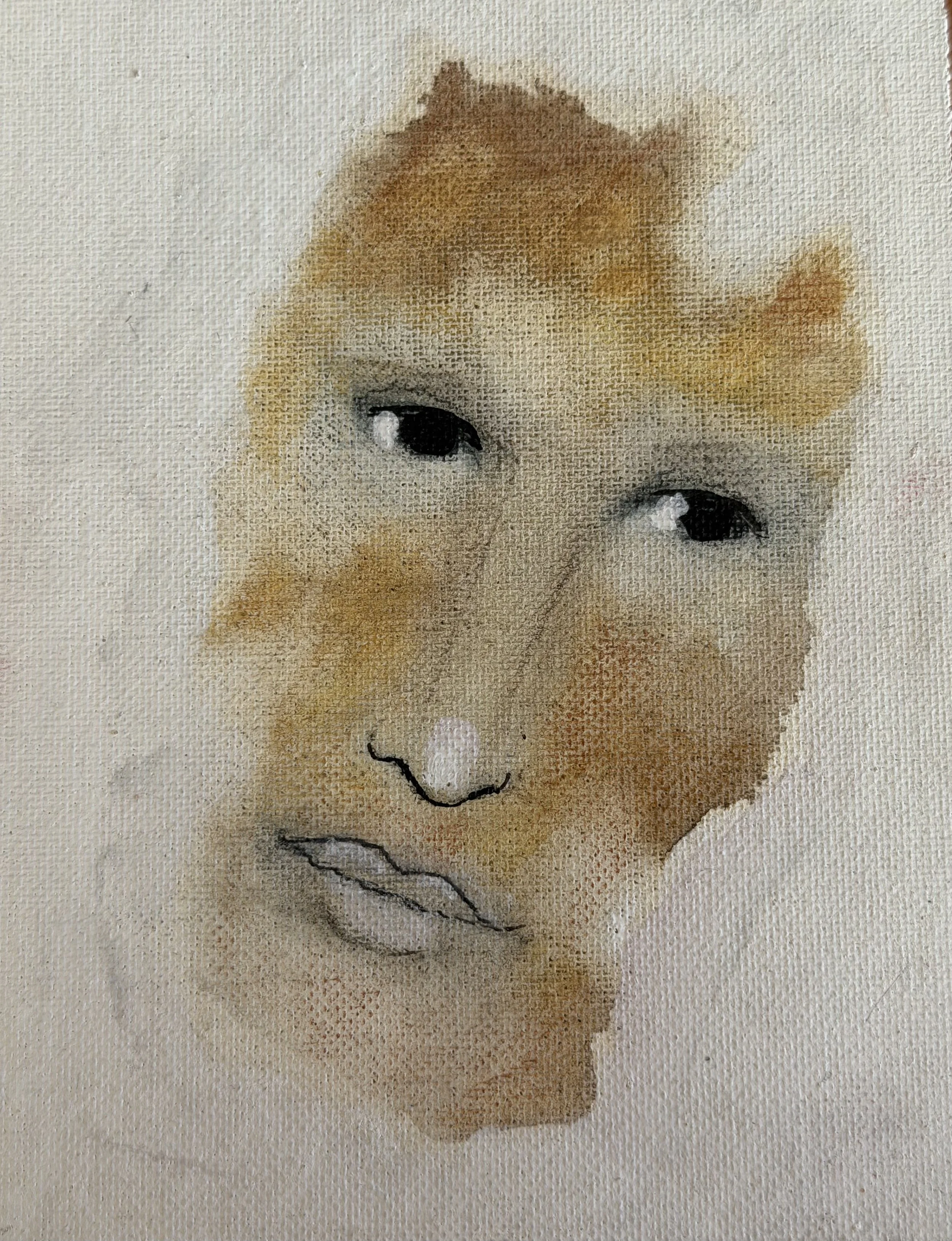 Nestor 16 x 12 cm tablilla .jpeg