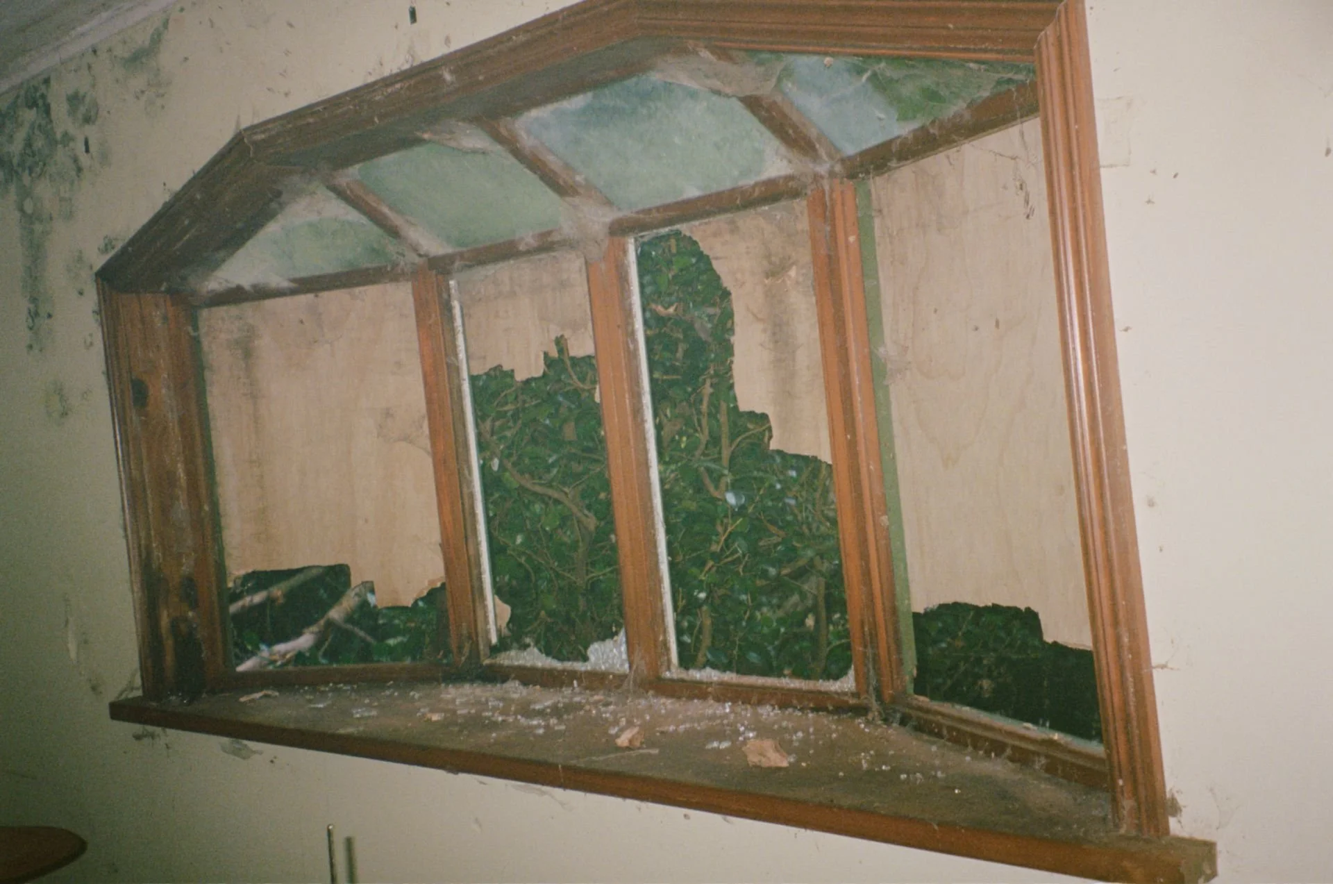 image138.jpg