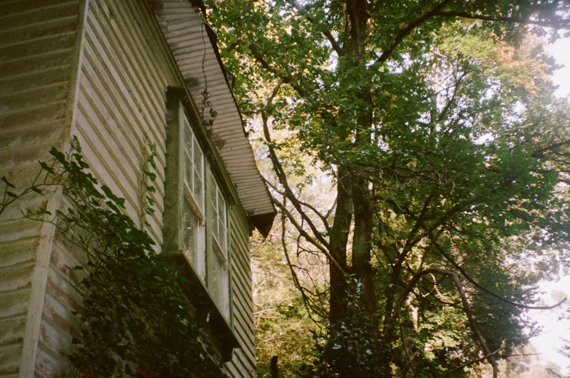 image144.jpg