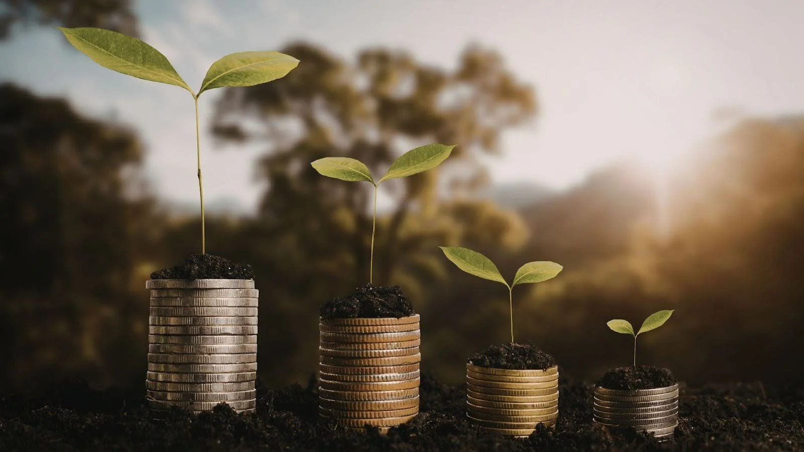 What is intergenerational wealth?