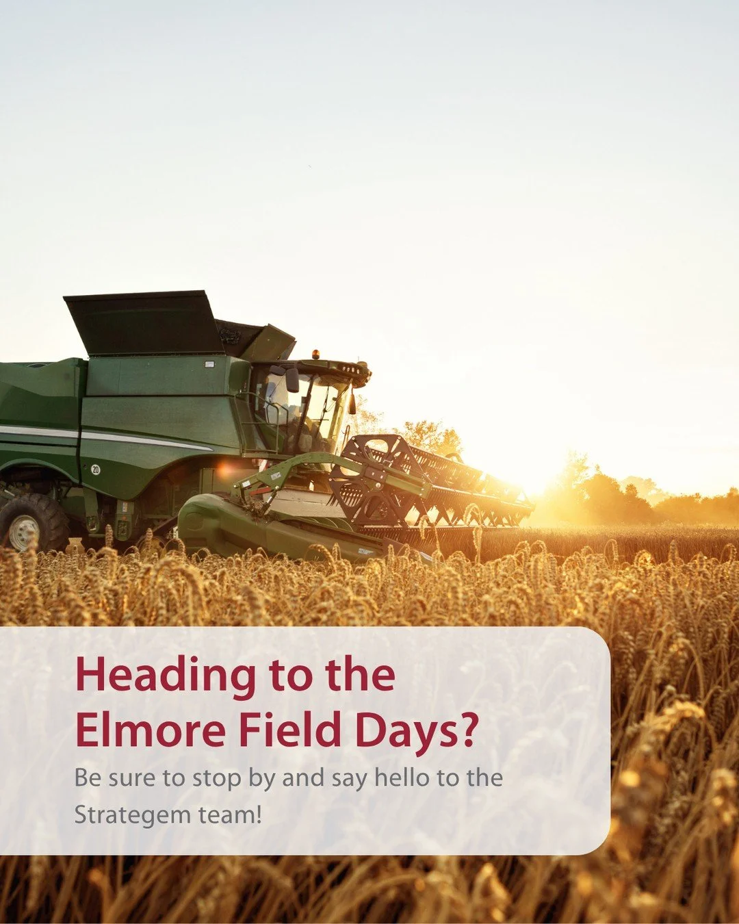 📍 Heading to the Elmore Field Days?⁠
⁠
Be sure to stop by and say hello to the Strategem team!⁠
⁠
Whether you're running a farming enterprise, family business, or simply looking to make more informed financial decisions, our team will be on hand to 