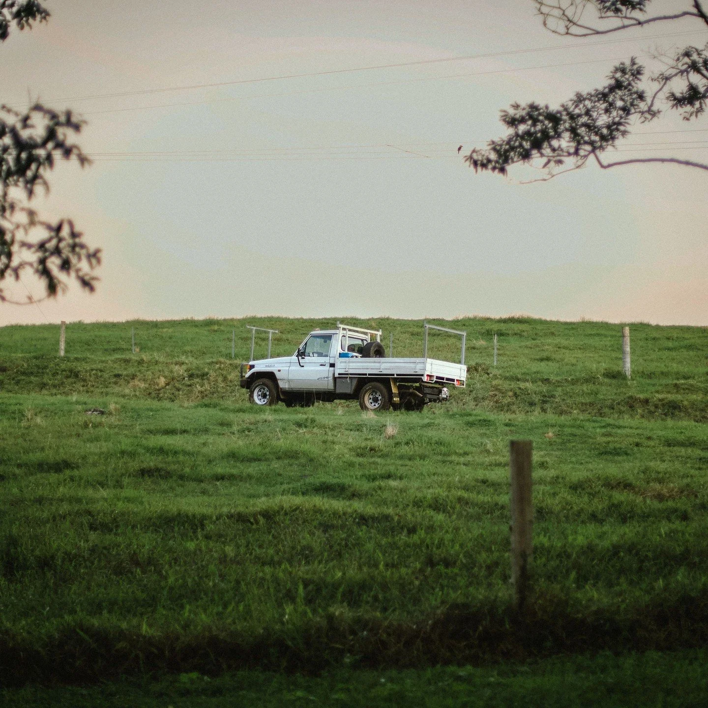 What does the future of your farming business look like?⁠
⁠
For farming families, planning for the future can involve much more than the next season.⁠
⁠
From business structure and tax planning to retirement, succession and protecting family wealth, 