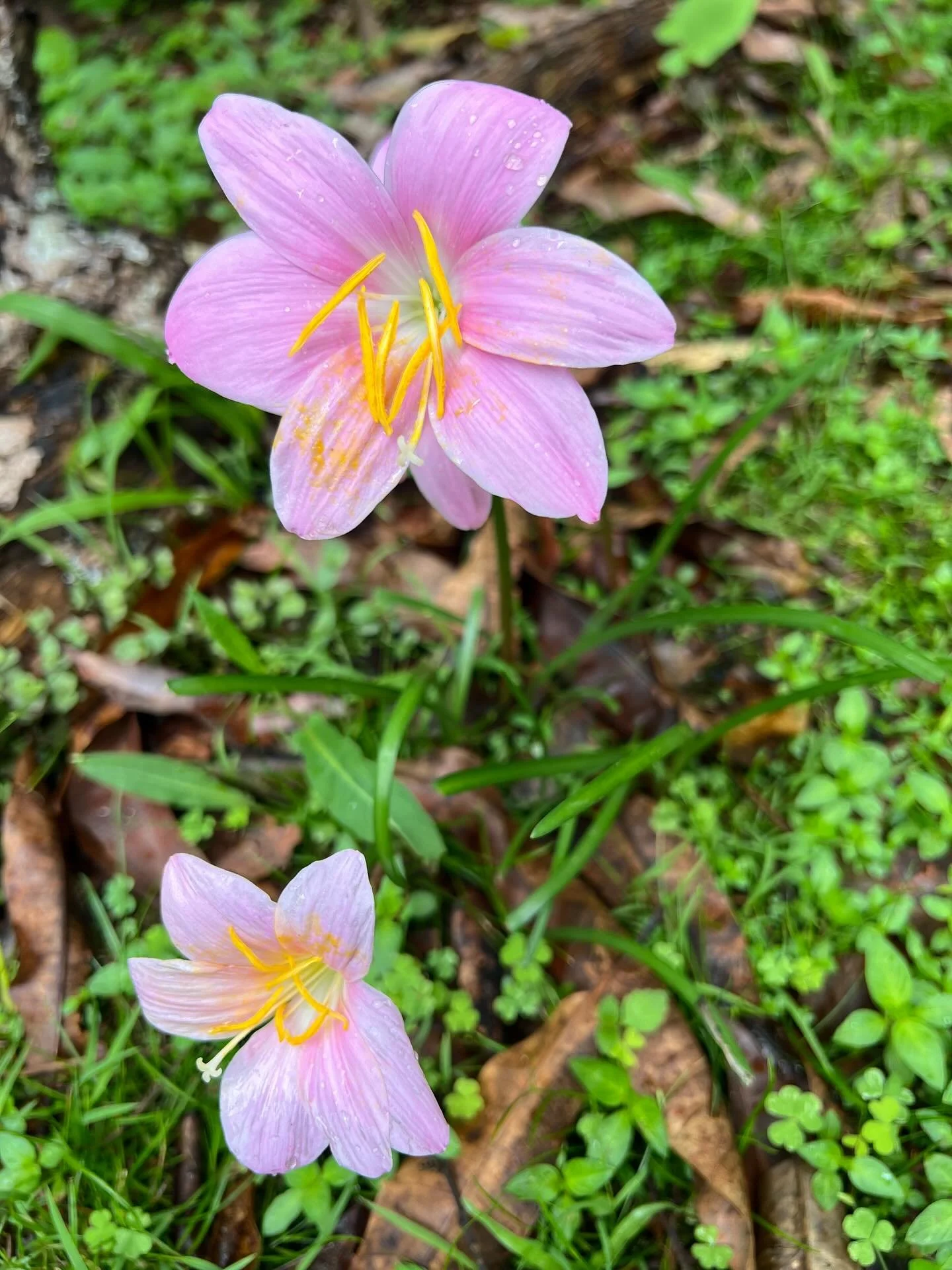 Healing happens through safe connections, not in silence, not isolated.