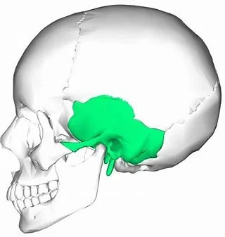 Tinnitus, the Body &amp; the Nervous System: How Craniosacral Therapy Can Help