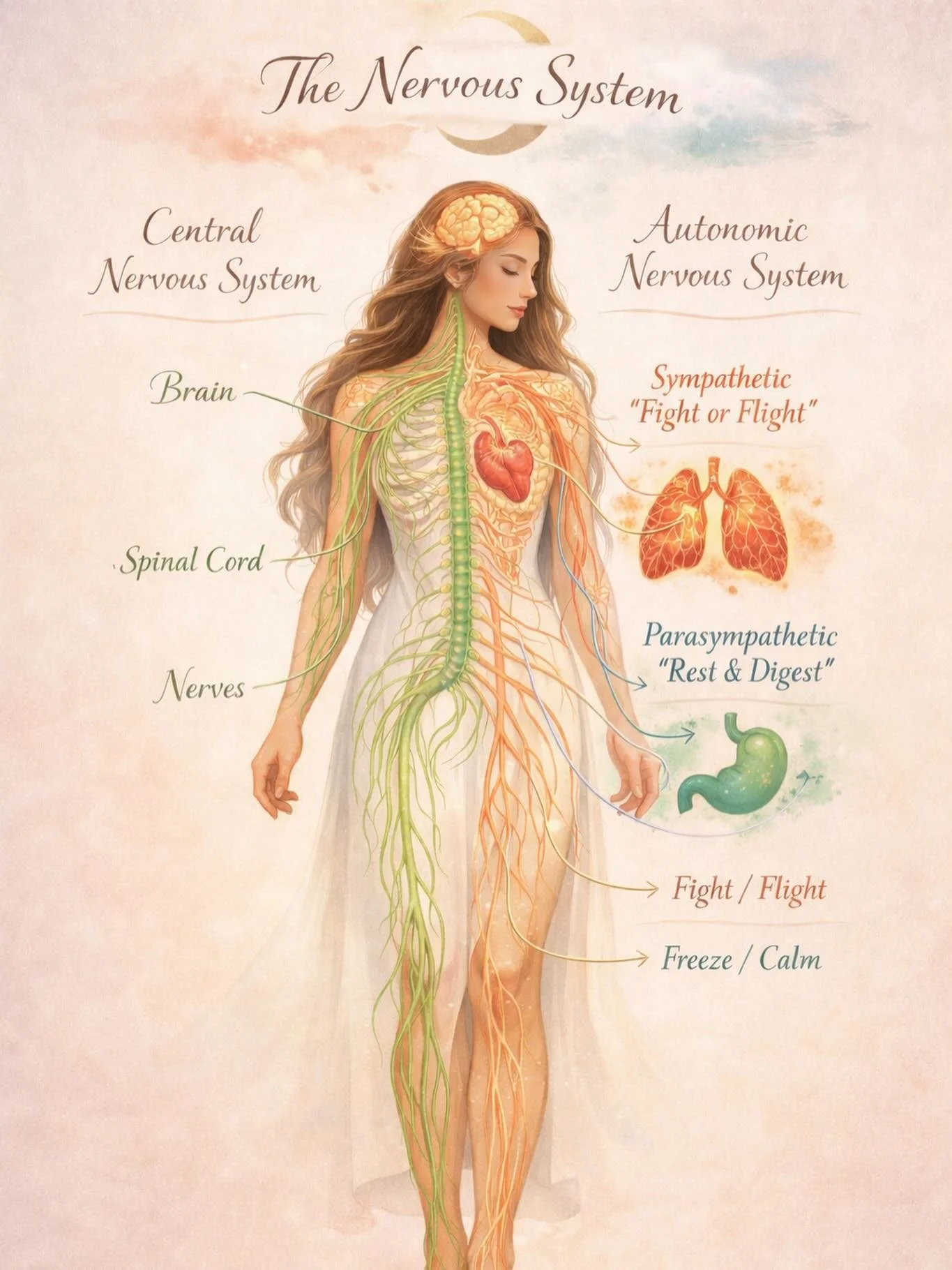 This is a pretty image (I asked ChatGpt to create) of the nervous system. The electric field or energy of our body. 

The presentation I offered to a group of counsellors recently, was one of the first things I shared. 

&ldquo;Stress is not just in 