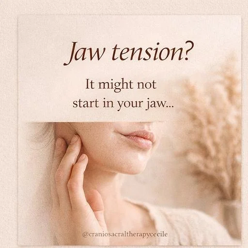 The Connection Between Jaw Tension and Pelvic Tension