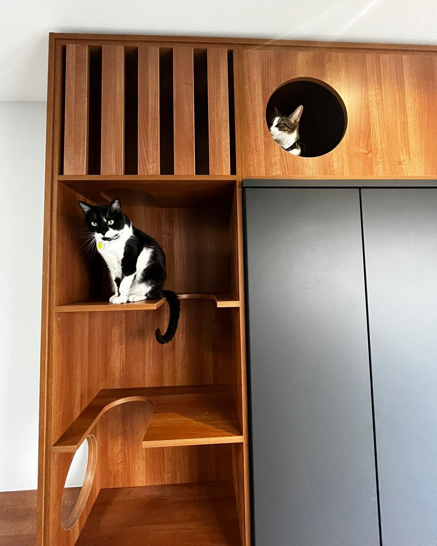 This weeks fit is a pawsitively purrfect one if you ask us!! 

This bespoke unit was created with the whole house in mind, with custom shelving to ensure even the smallest paws had full access!

All made from the @finsaireland &ldquo;walnut supreme&r