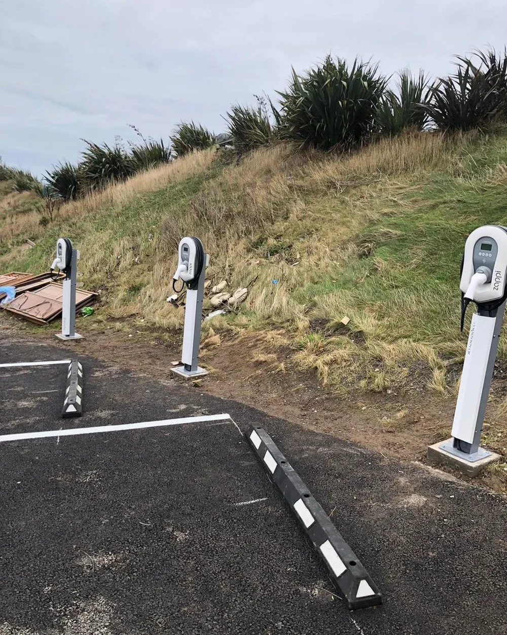 Electric vehicle charging stations in a parking lot with overgrown grass and plants on a hillside in the background.