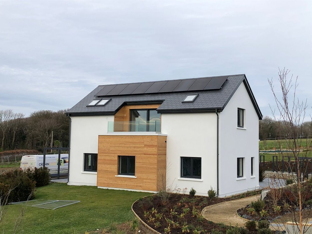 Modern two-story house with white exterior walls, black roof, and wooden siding on part of the front, surrounded by a landscaped garden and pathway.