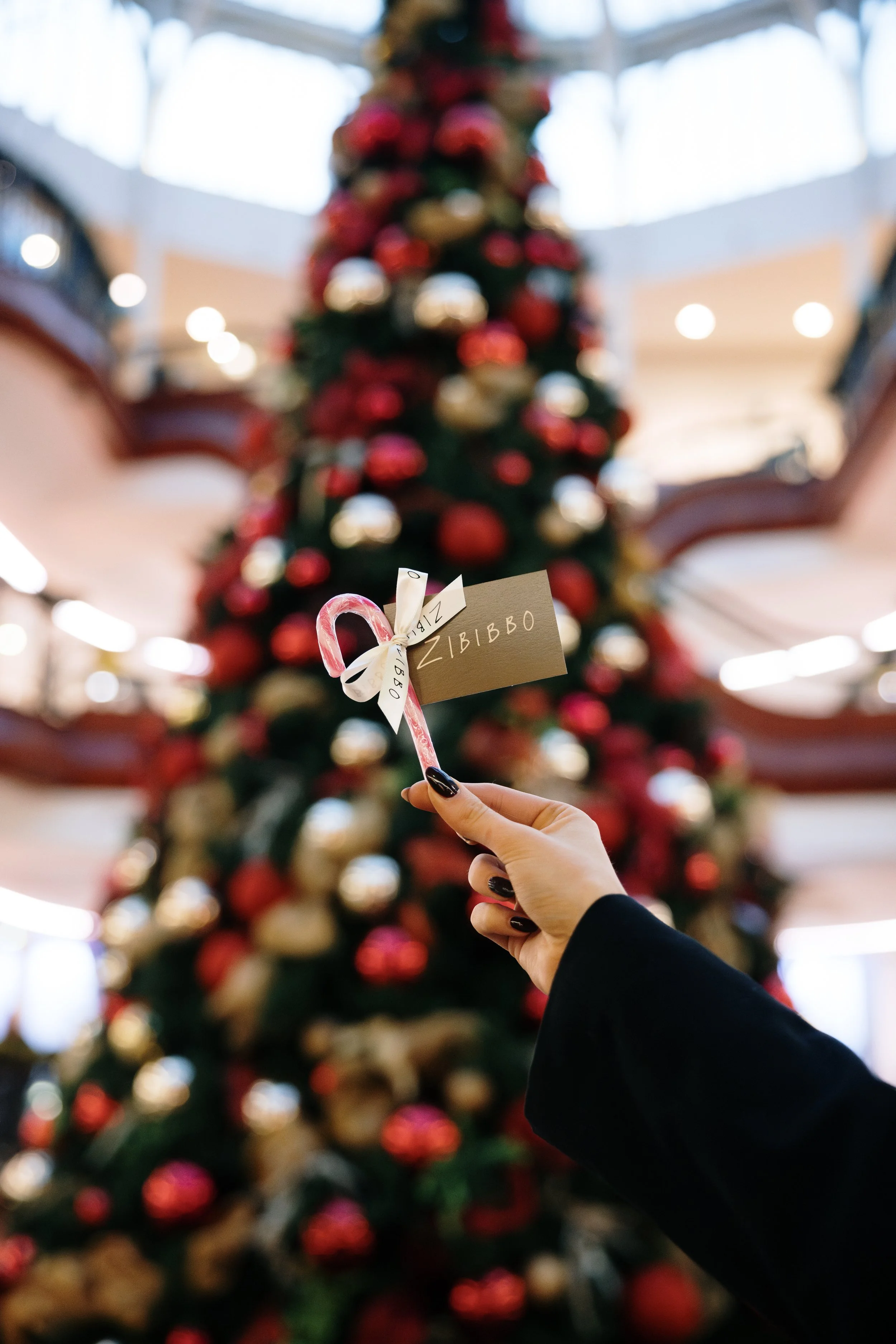 Introducing Zibibbo: Princes Squareβs Newest Wine, Food & Lifestyle Destination