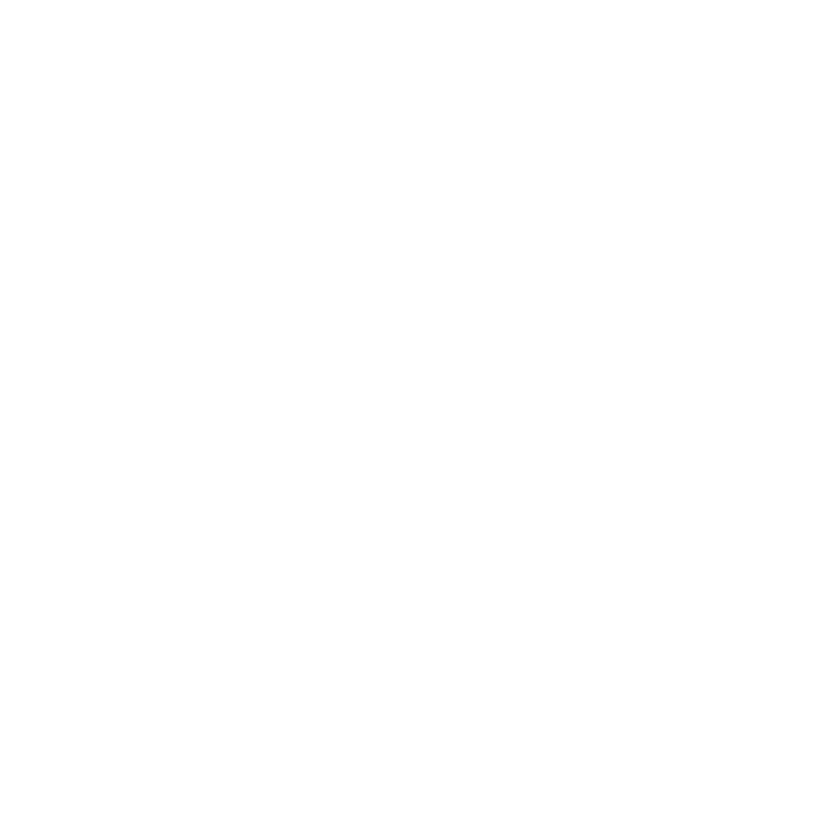 Audi AG