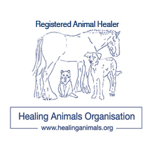 healing-animals.png