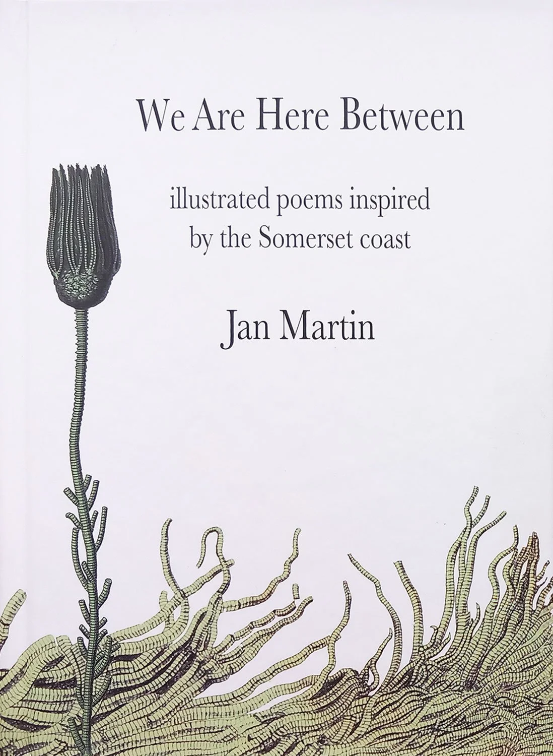 Jan Martin Copywriting