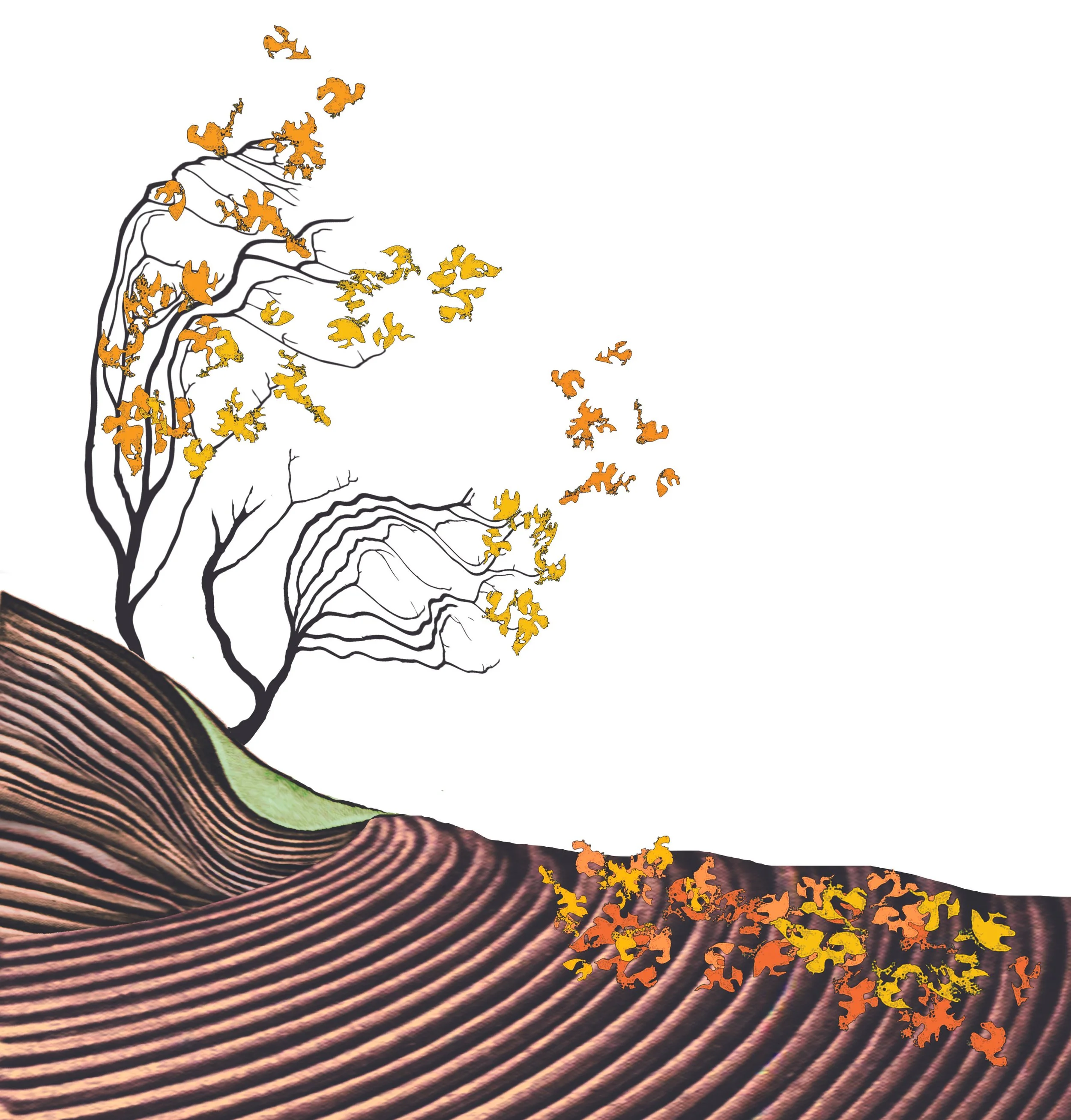 Illustration, Woods, Ways & Waters