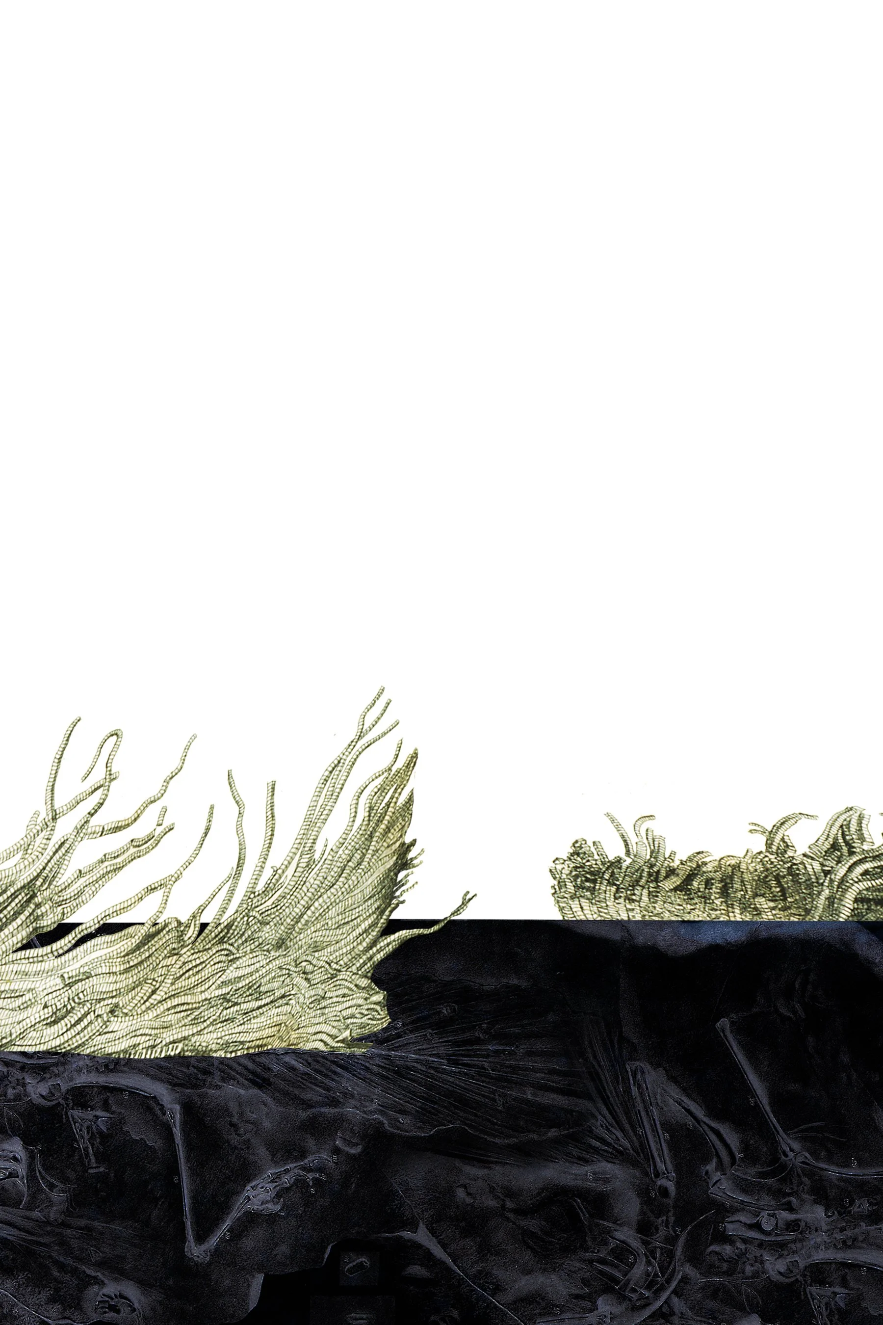 Steart Marsh