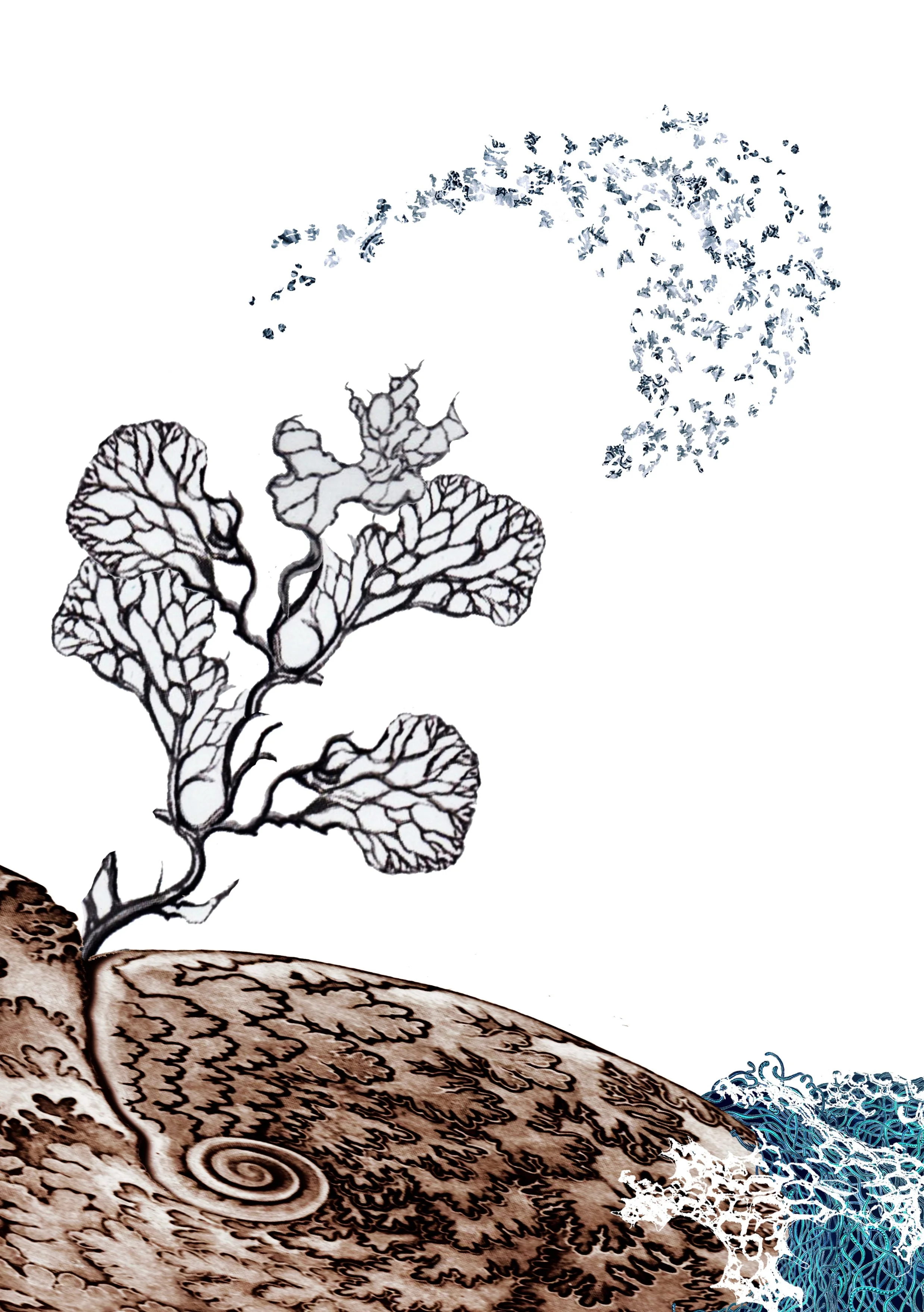 Murmuration