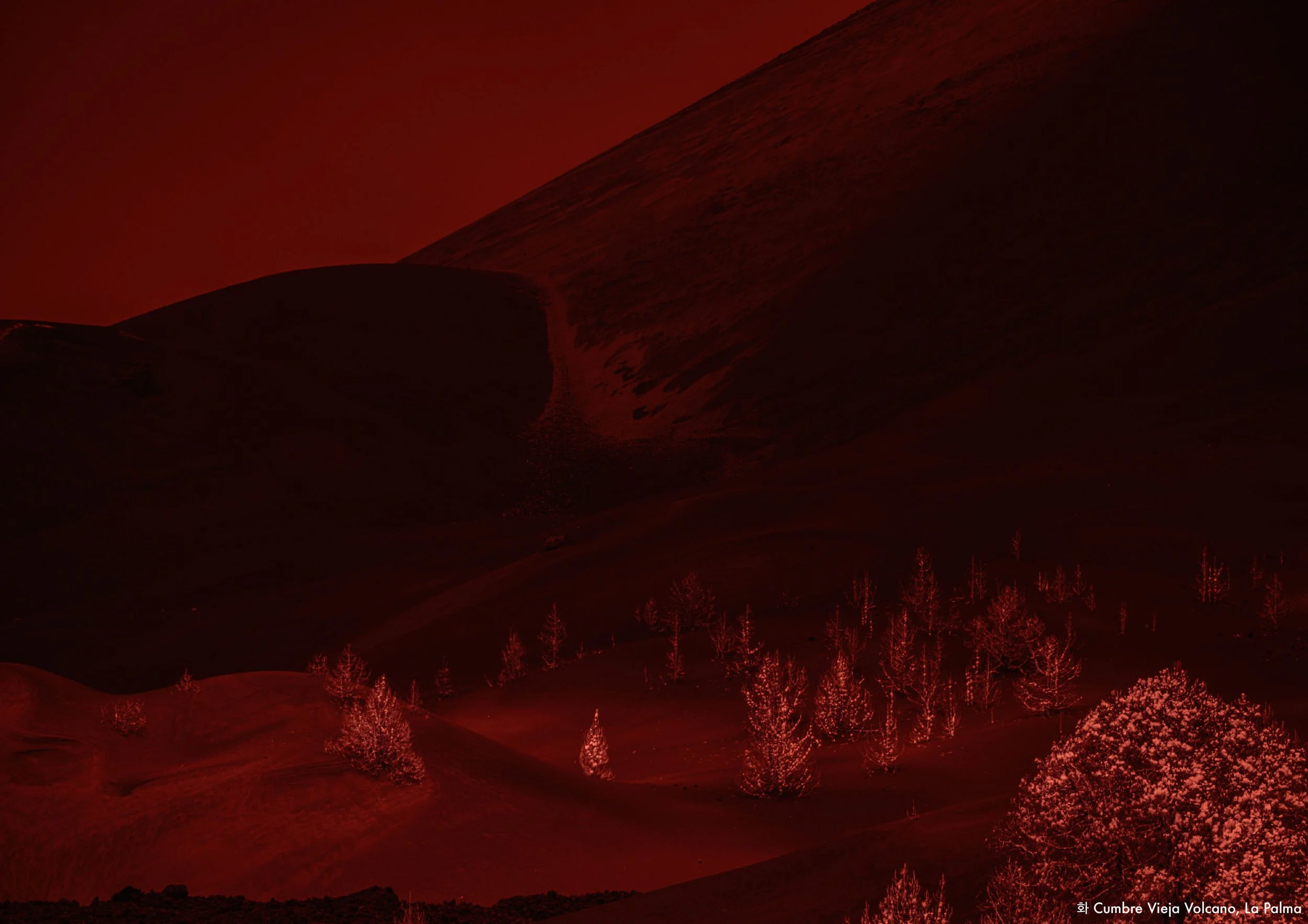 박신우 포트폴리오-21.jpg