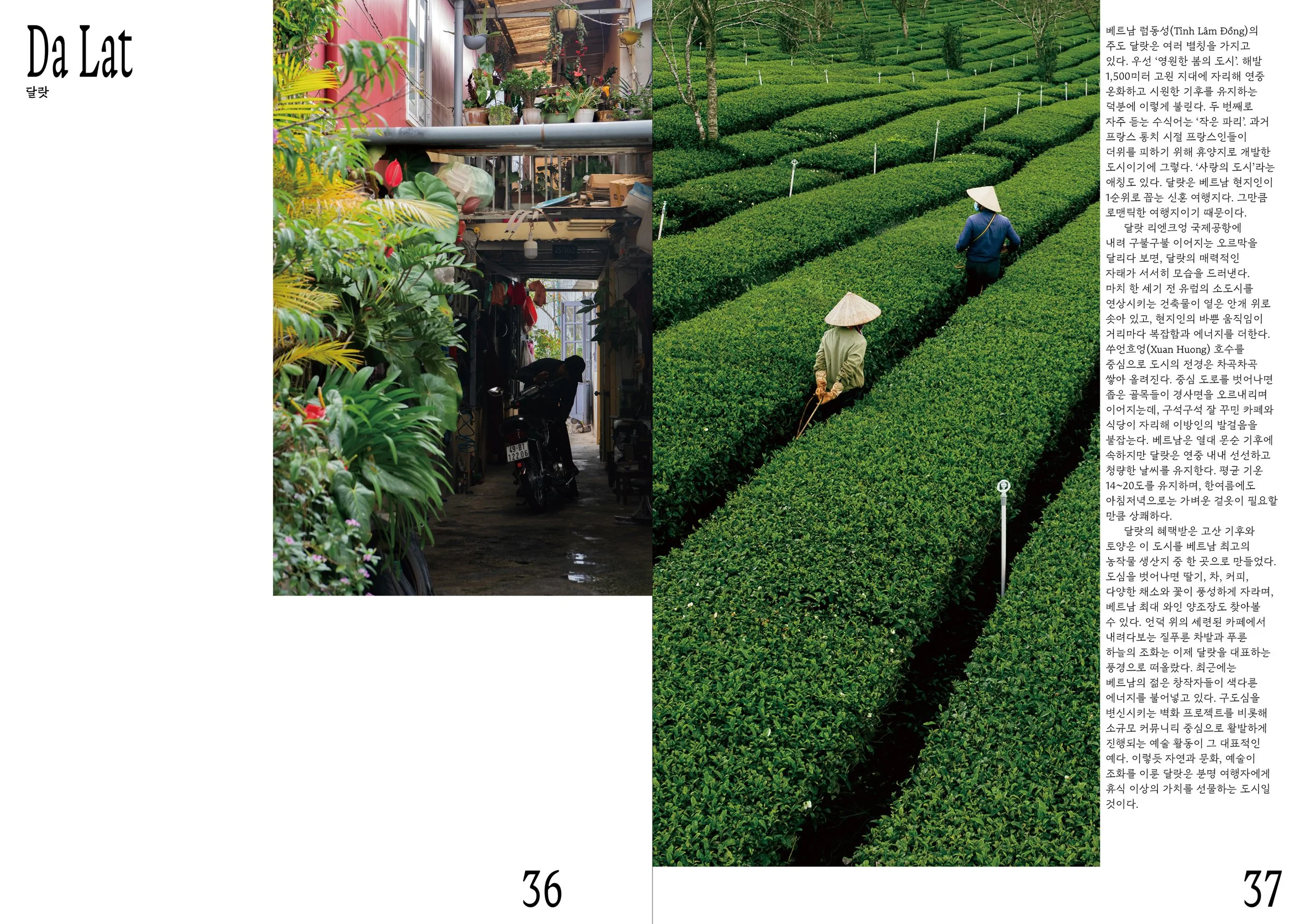 베트남 스프레드-2.jpg