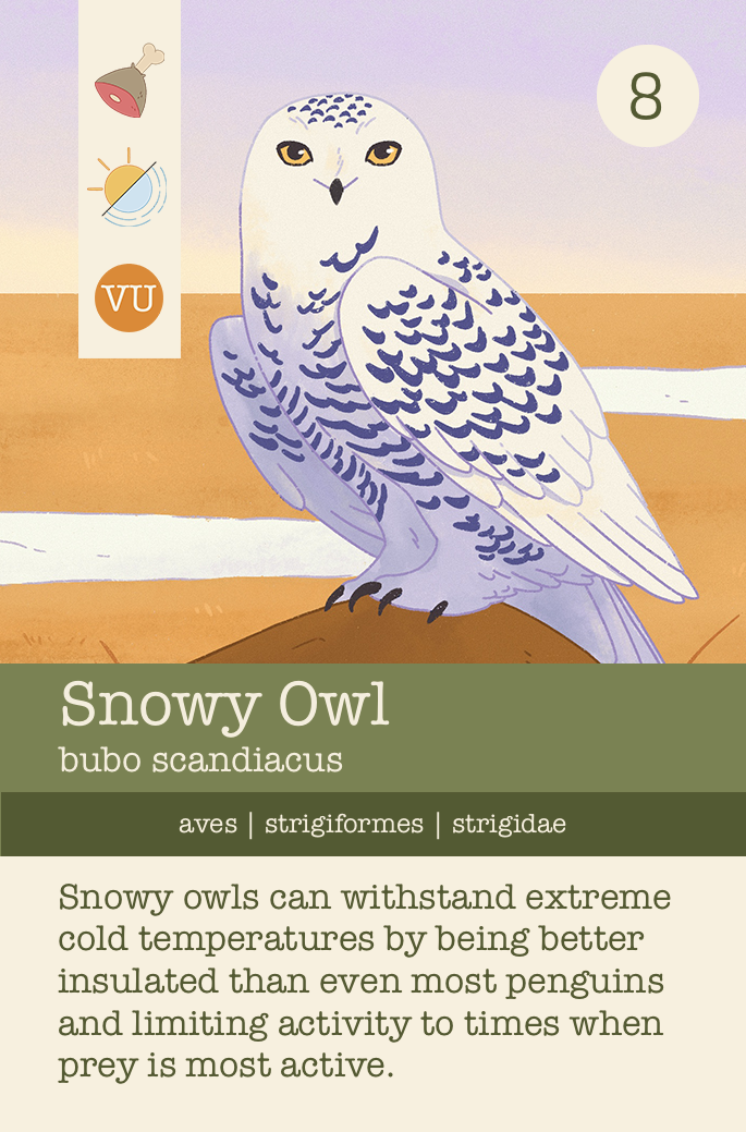 Snowy Owl Final.png