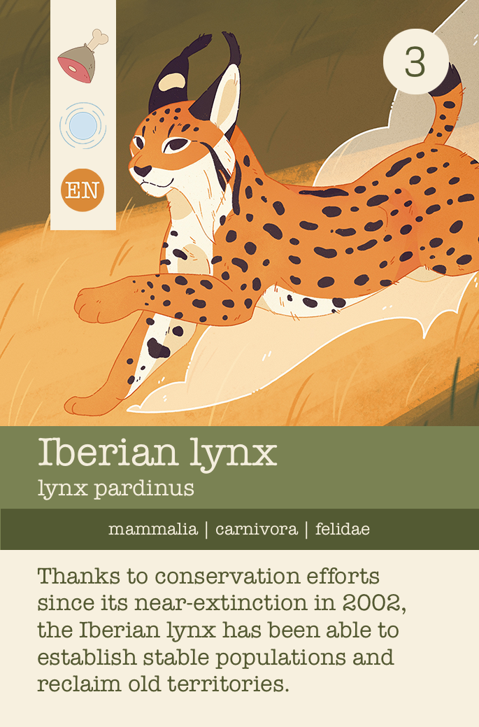 Lyn_Collectorcard_front.png