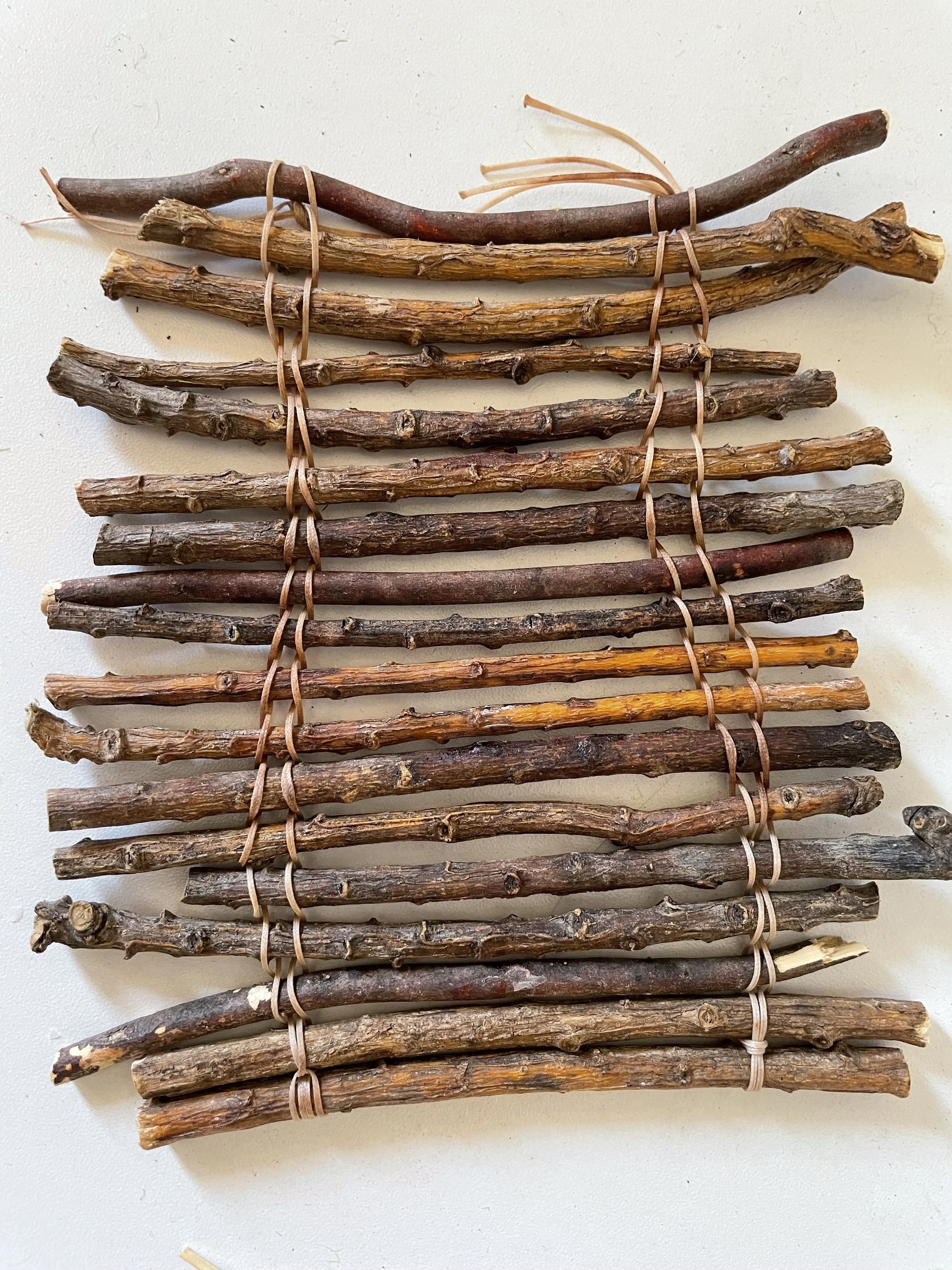 Photo: Kiri Morcombe