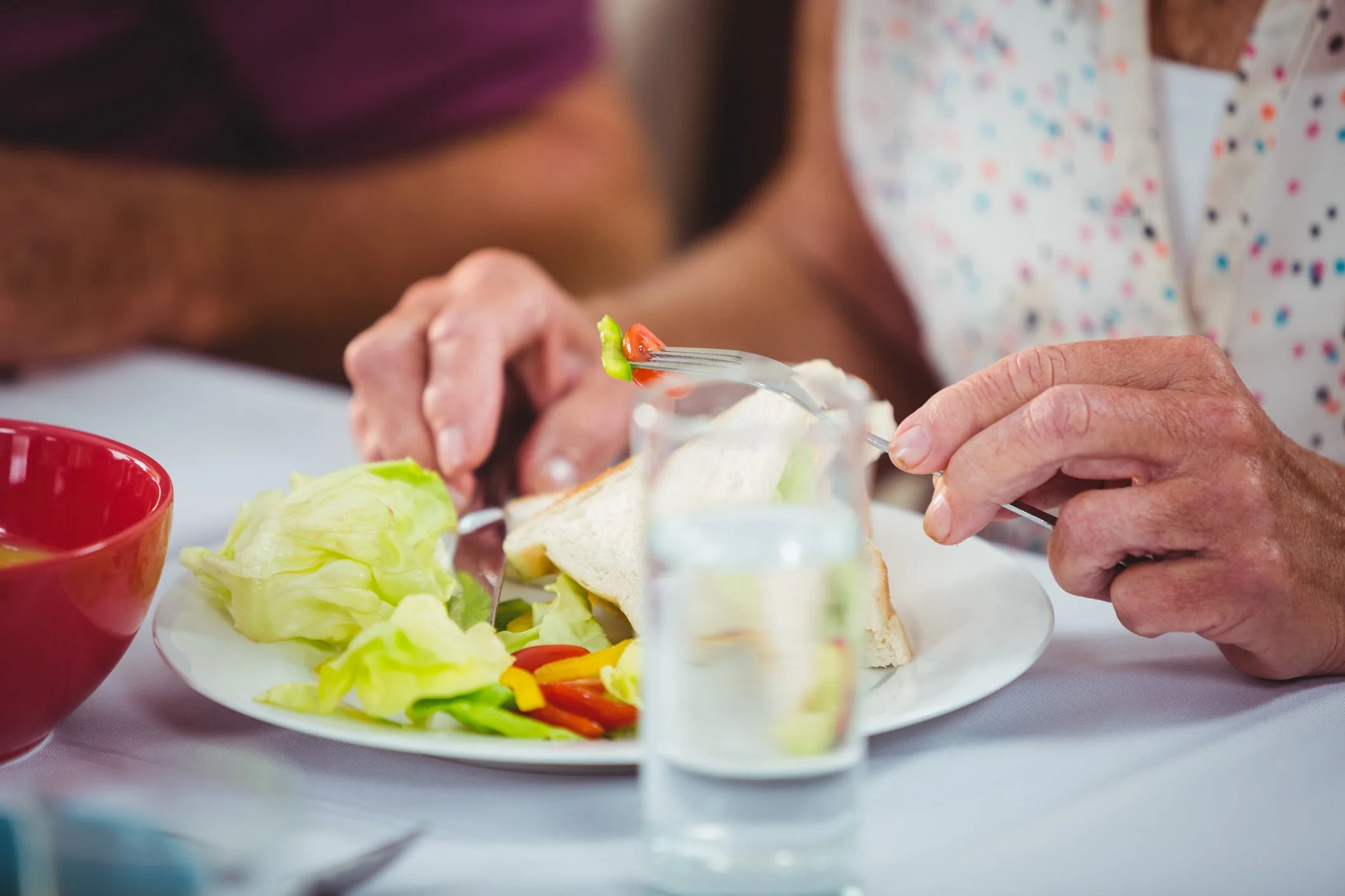 Nutrition and Dining Options in Nursing Homes