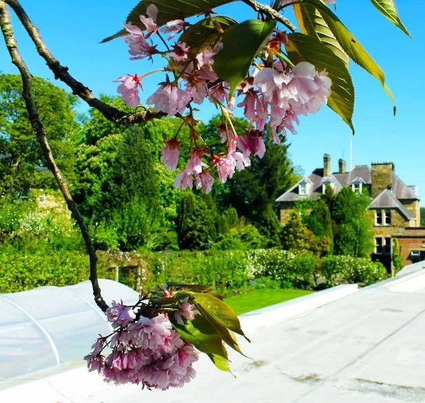 wentworth-grange-surrounding