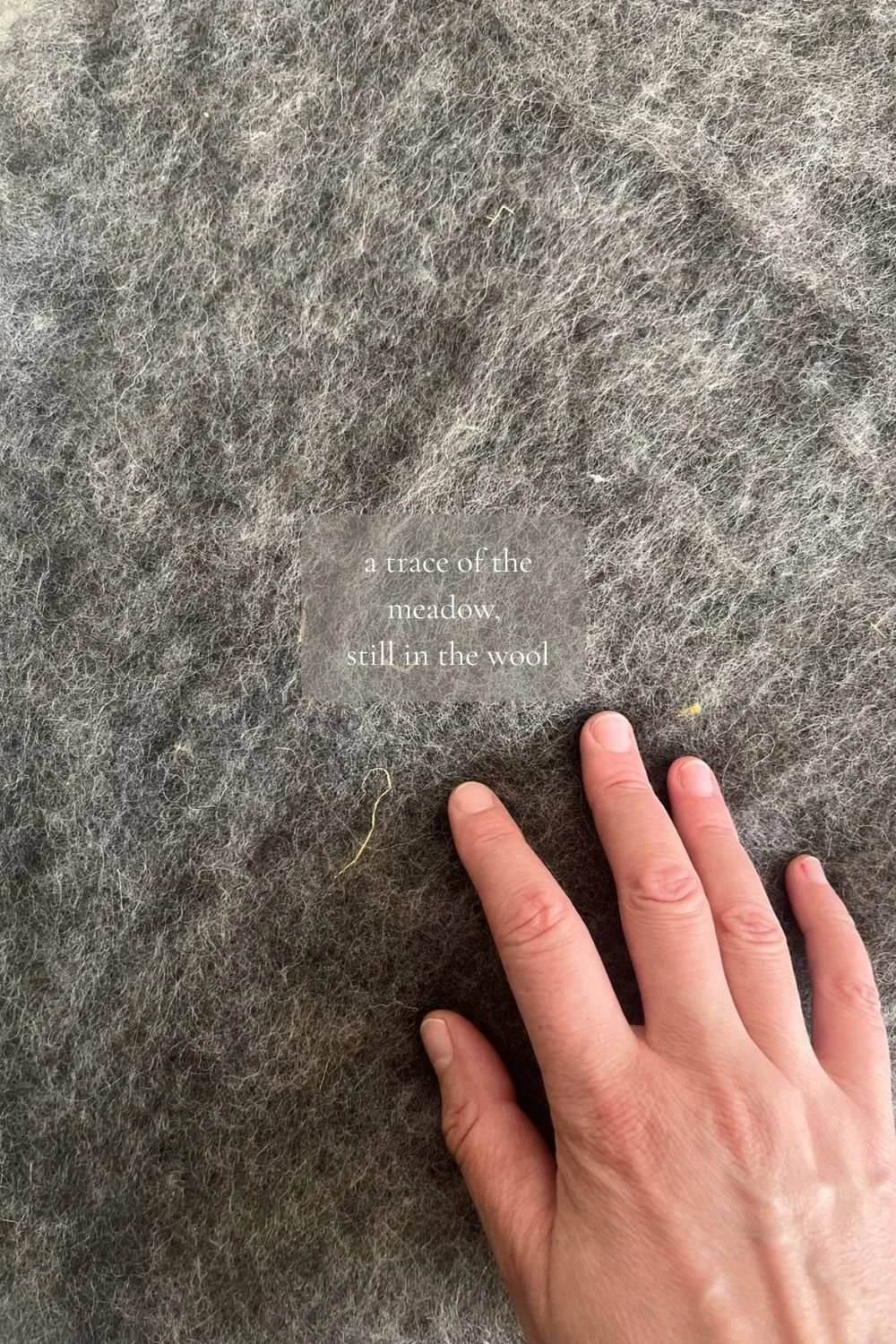Undyed grey Alpine wool felt with dry meadow grass visible in the fiber and the caption 'a trace of the meadow, still in the wool' — proof of raw unprocessed wool, Feltforma sauna hats