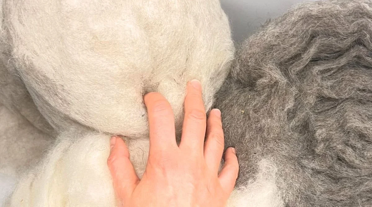 Raw undyed Tyrolean mountain wool in natural cream and grey — mulesing-free, water-washed only, no dyes, no chemicals. The only material Feltforma uses to hand-sculpt undyed wool sauna hats for infrared sauna, contrast therapy, and cold plunge.