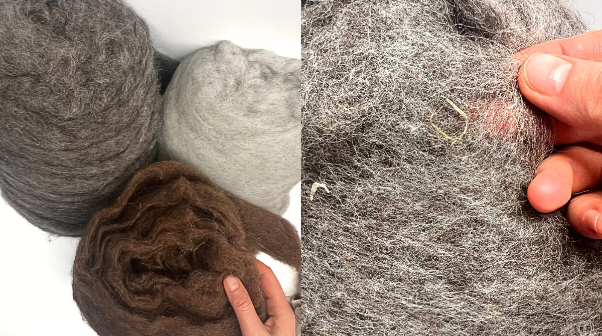 Organic Tyrolean mountain sheep wool sourced from small European farms, showing natural lanolin-rich fibers and visible dried grass, demonstrating untreated, chemical-free wool used for hand-felted sauna hats.