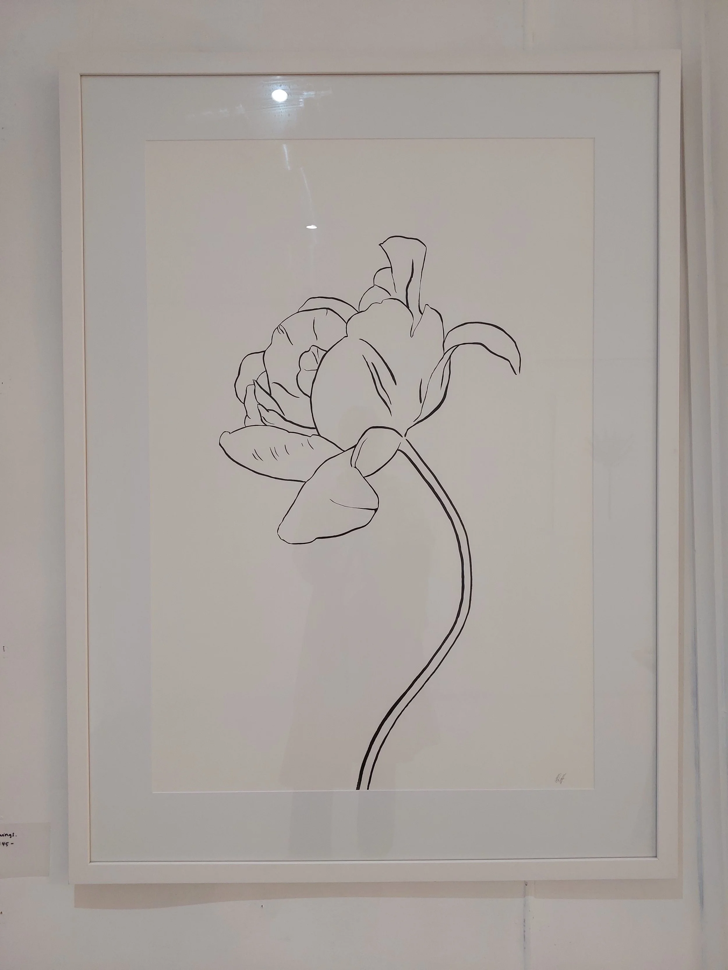 Minimal Line Drawing - Peony