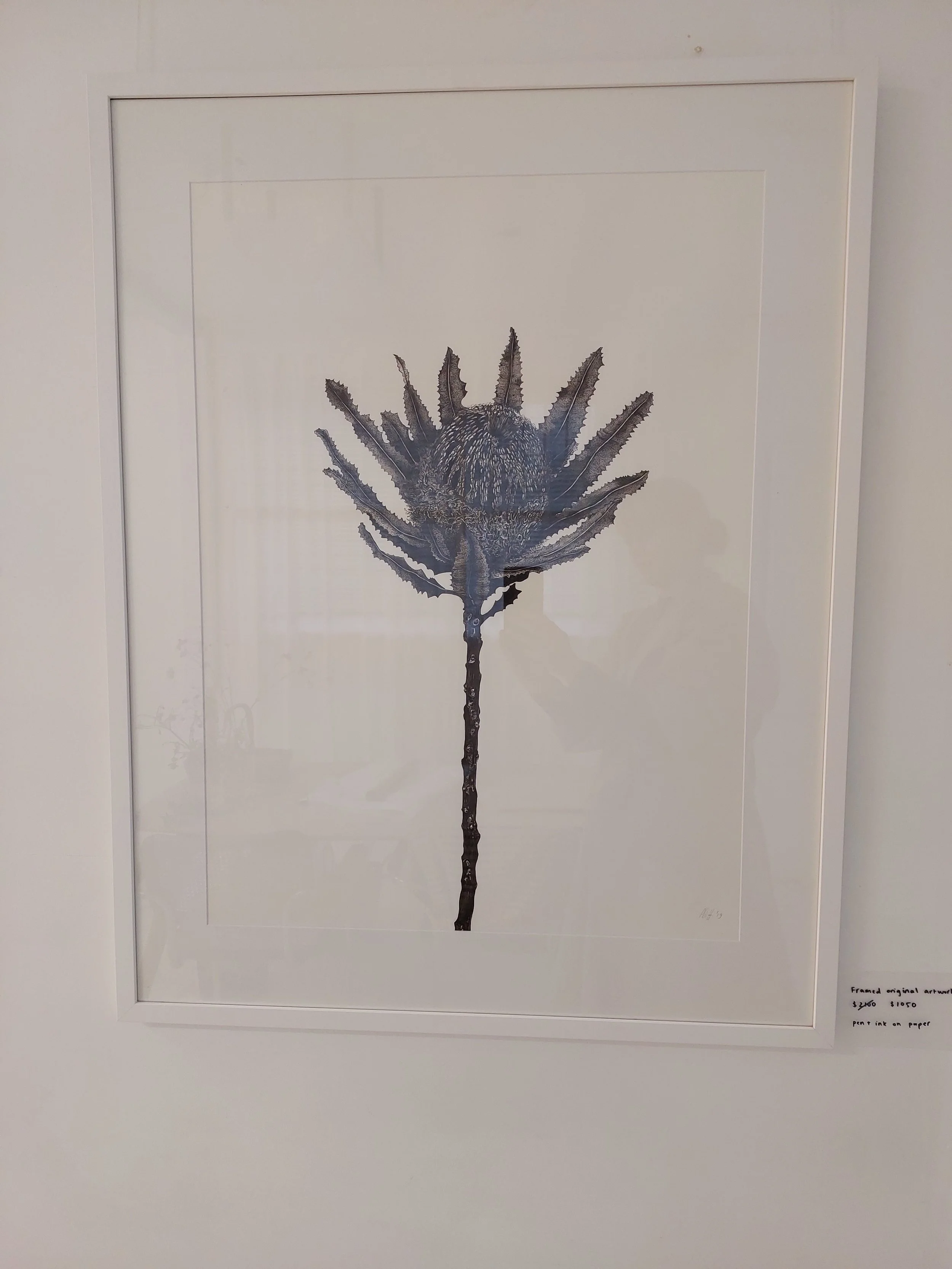 Protea