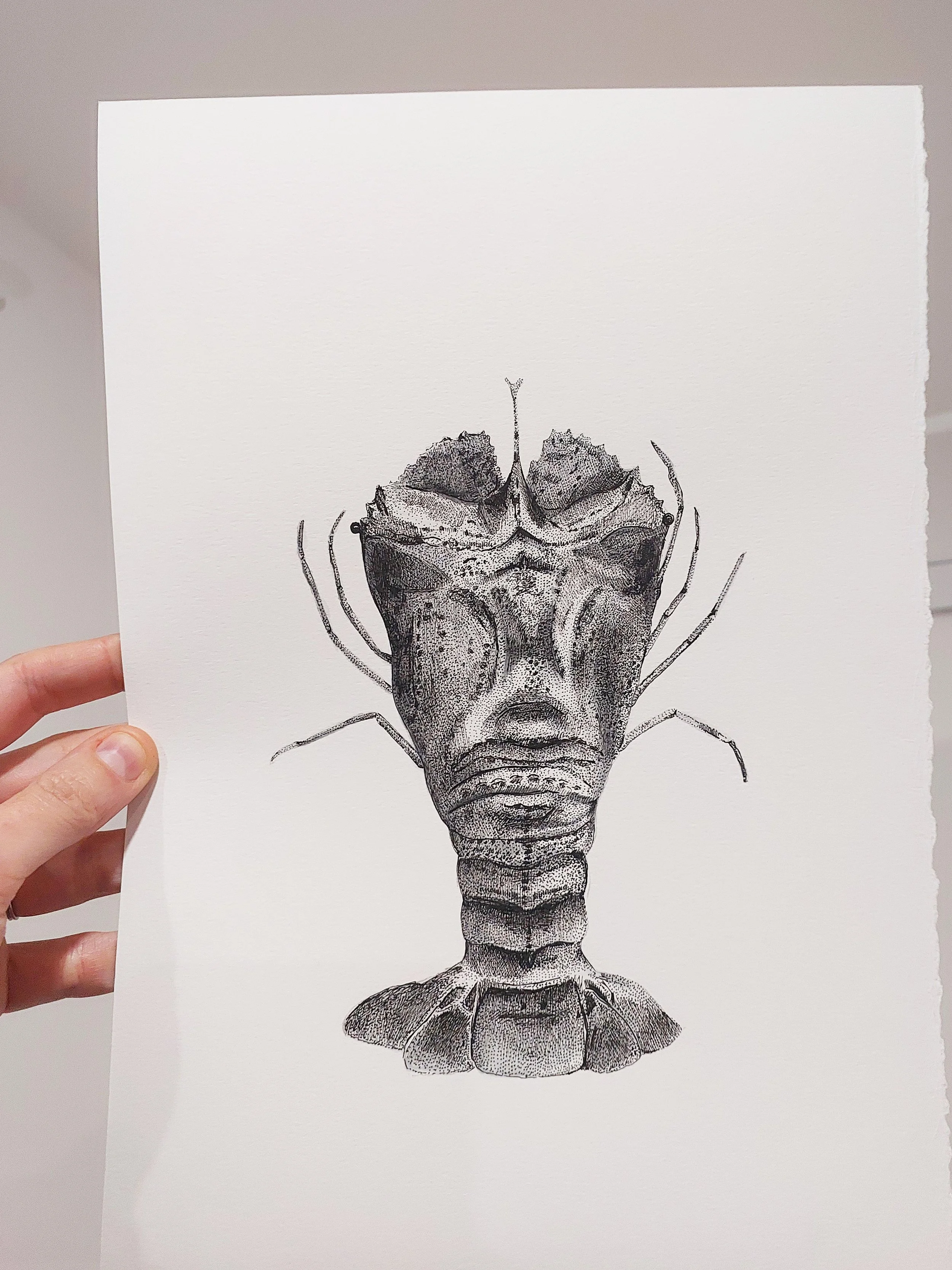 Pen and Ink - Crustacean