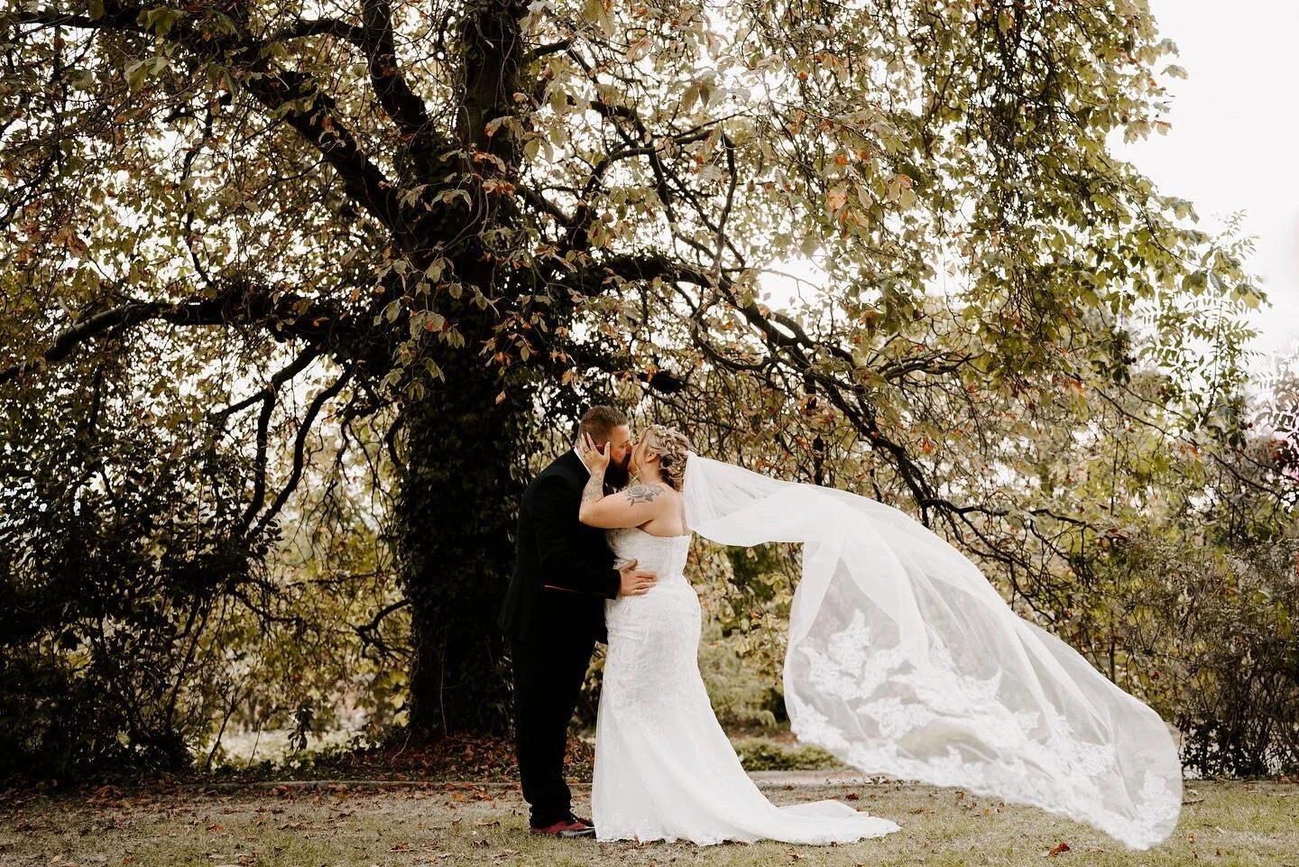 The perfect veil shot 🤍
Venue: @webbingtonhotelweddings 
#webbingtonhotelweddings #webbingtonhotelwedding #webbingtonhotel #weddingphotographer #weddingphotography #weddingphotos #weddingdressinspiration #weddinghairstyles #bridalmakeup #weddingph