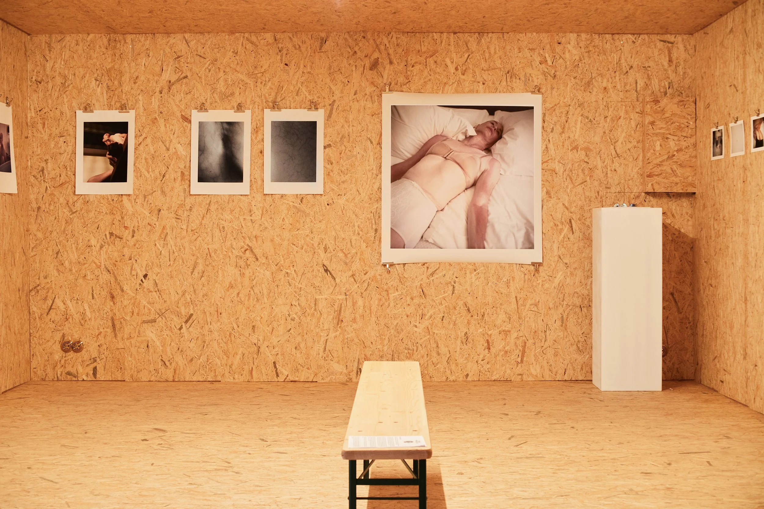  /Edith Bergfors’ work, part of ‘A Female Perspective’ Group Show, at Schlachter 151, Wilmersdorferstrasse 151,  Berlin. 