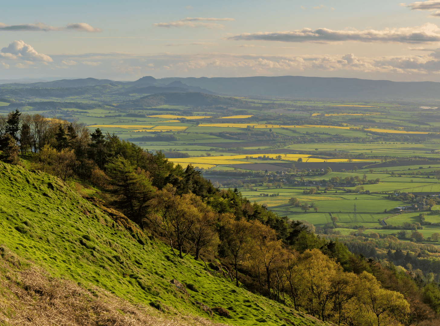 Rolling green hills with trees in the foreground and a patchwork of fields stretching into the distance under a partly cloudy sky.