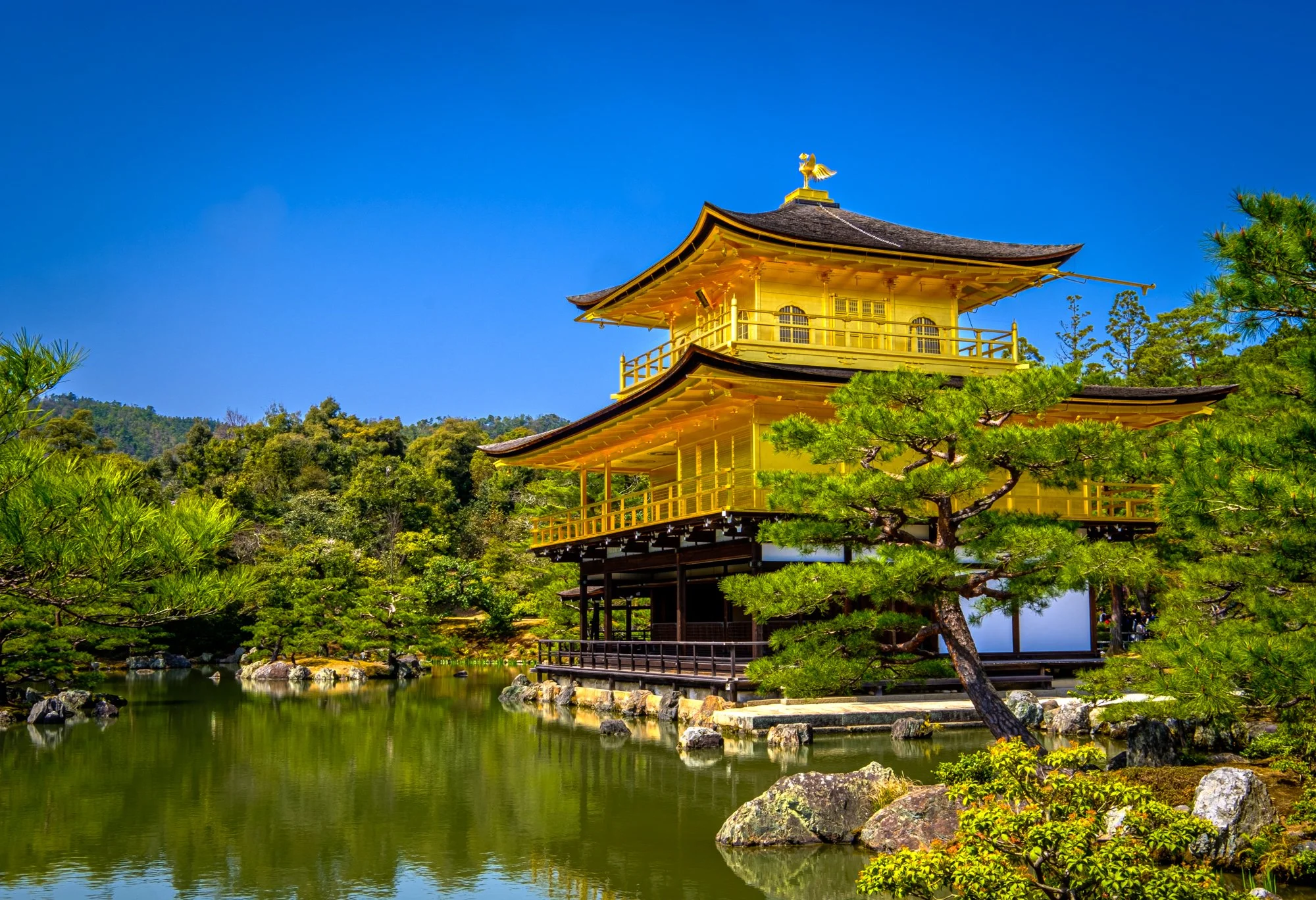 Golden Pavilion (Ginkakuji), Kyoto, Japan