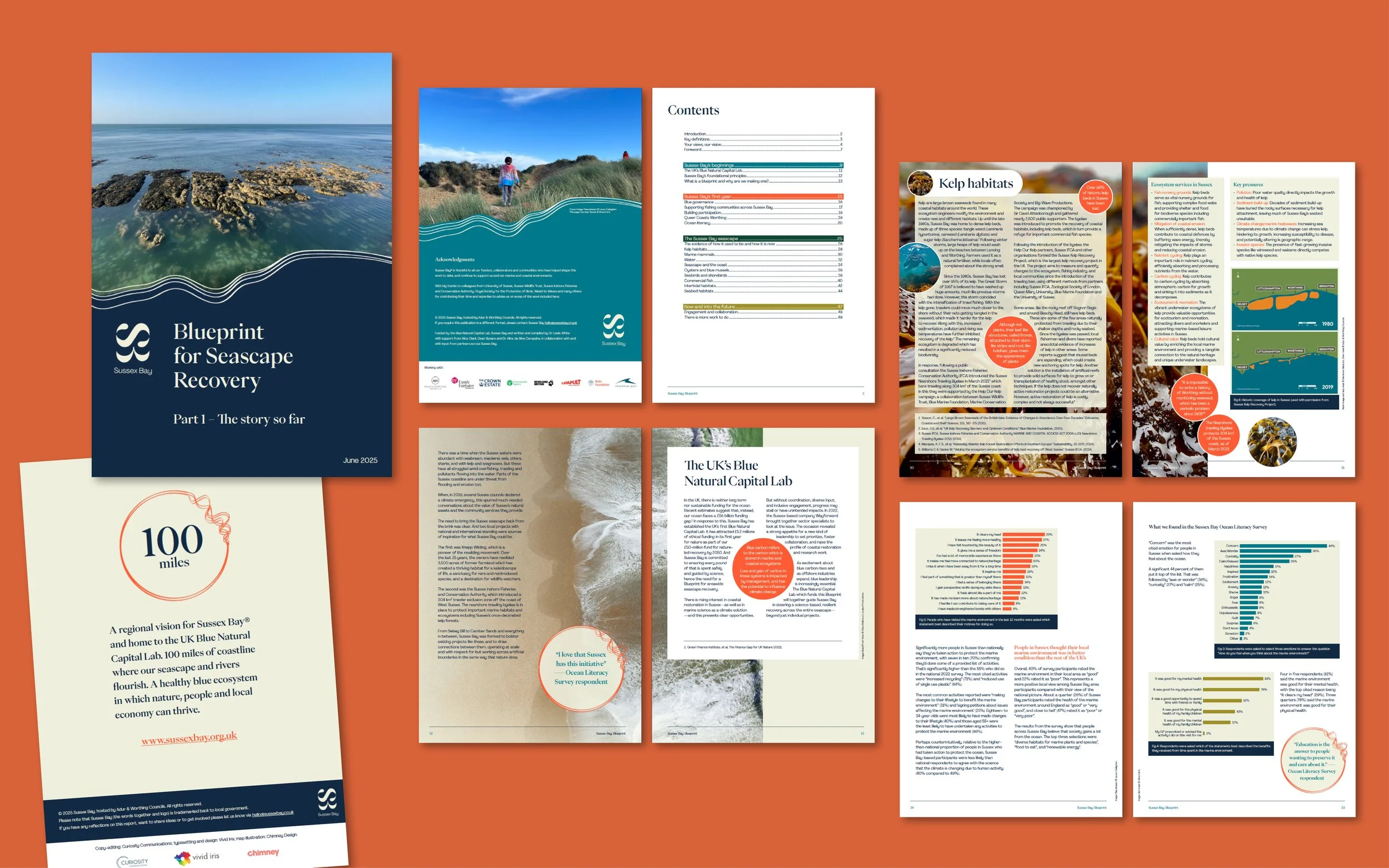 Selected pages from a report for an environmental charity 