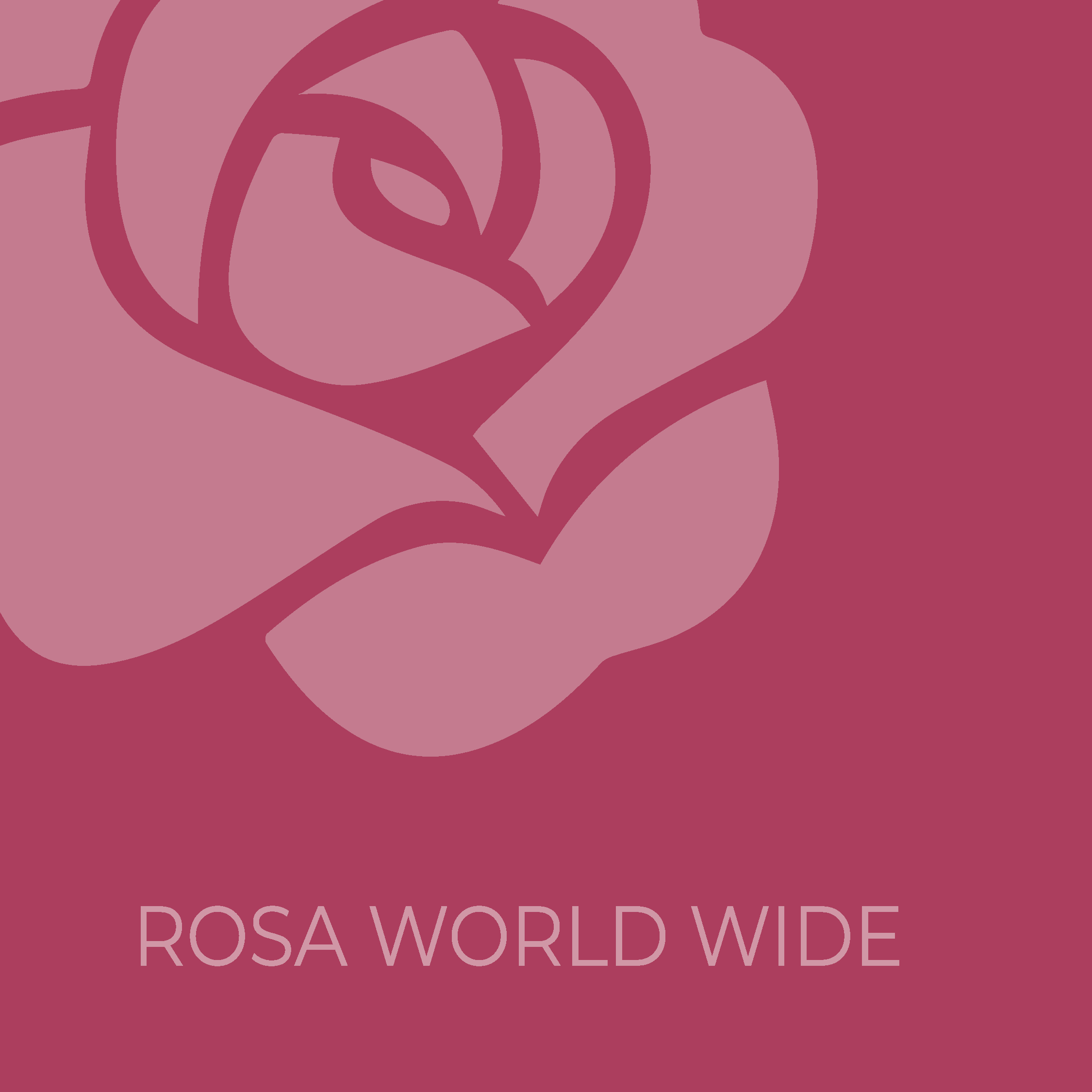 ROSA WORLD WIDE | Kinderhilfswerk Sikkim Nordindien