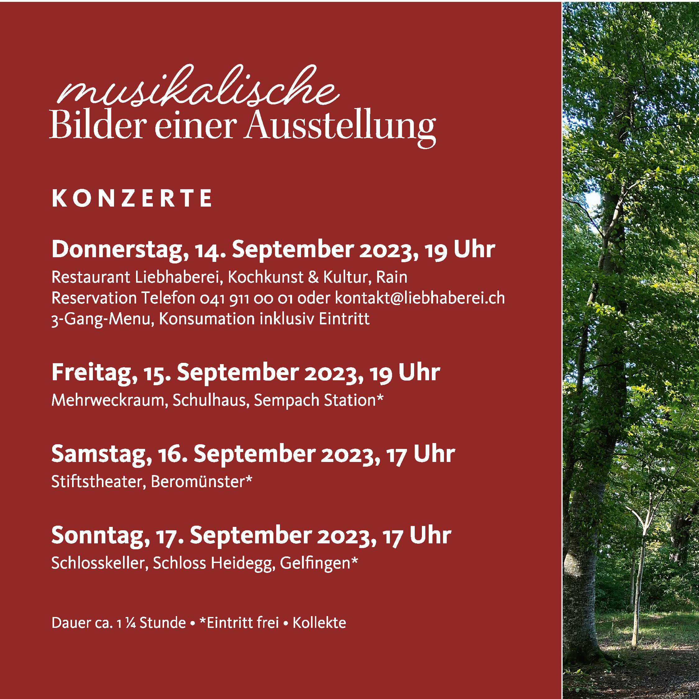 2023 grafische und digitale Umsetzung