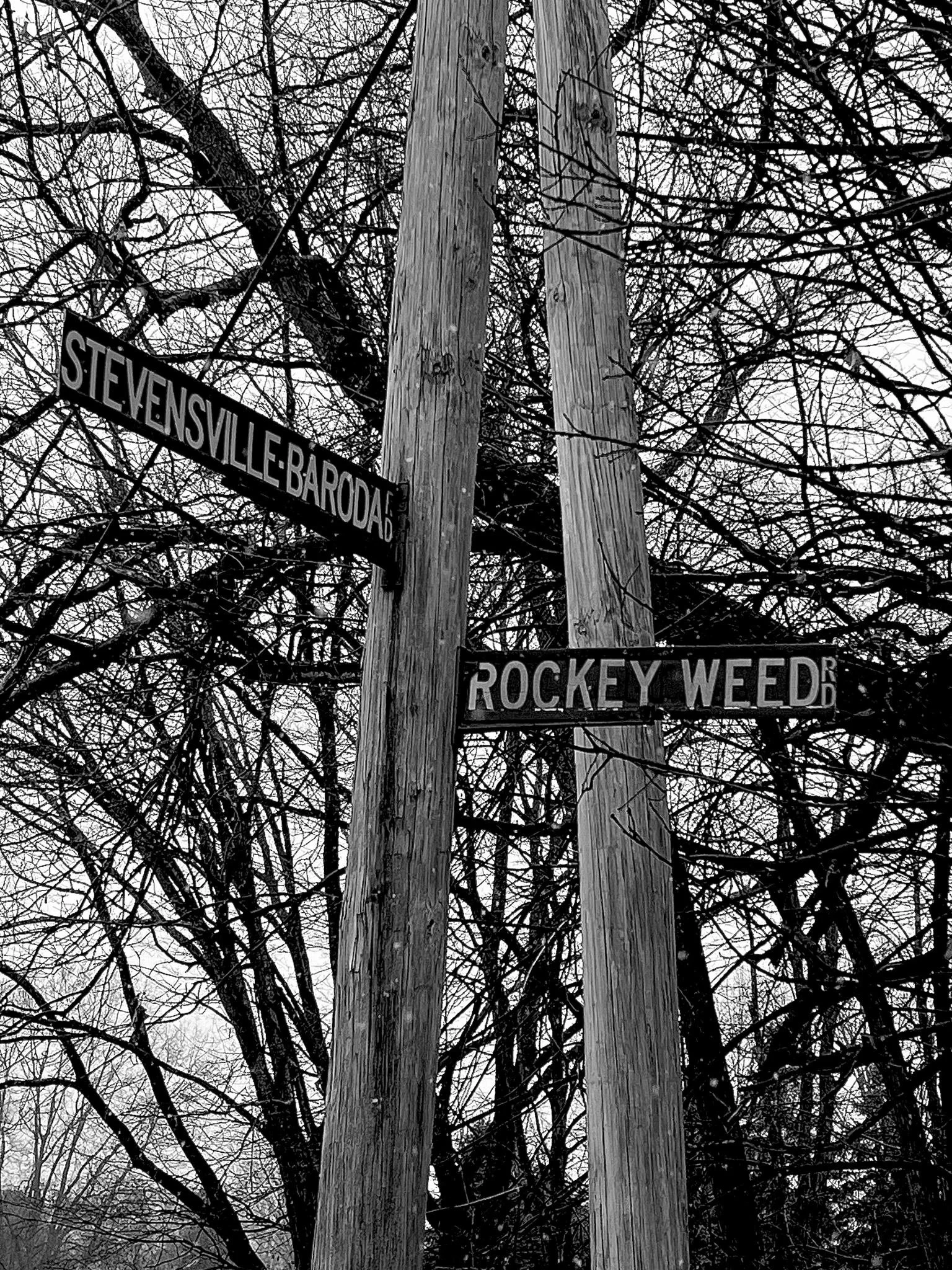 Live Music - Rockey Weed Road Band &amp; Friends