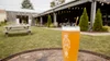 Watermark Brewing Co.