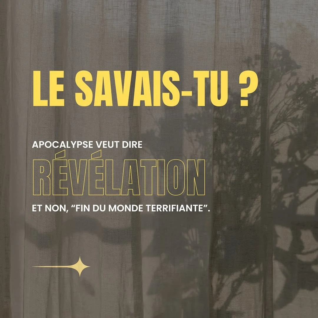 Apokalupsis ✨

Qui l&rsquo;eut cru ? L&rsquo;un des textes le moins compris de la Bible est en fait une R&eacute;v&eacute;lation 🤯 Dans l&rsquo;&eacute;thymologie grecque, cela veut dire : Faire conna&icirc;tre quelque chose pleinement. Enlever le v
