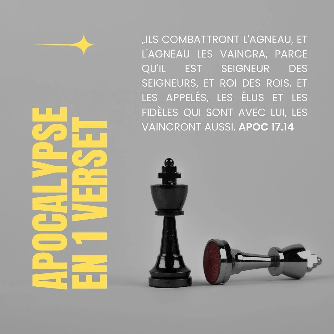 Sa victoire, notre Espoir.

Victoire. Louange. Pers&eacute;v&eacute;rance dans l&rsquo;&eacute;preuve. Justice.

On retrouve bien les 4 th&egrave;mes principaux du livre dans ce puissant verset qui le r&eacute;sume.

Prends le temps de m&eacute;diter